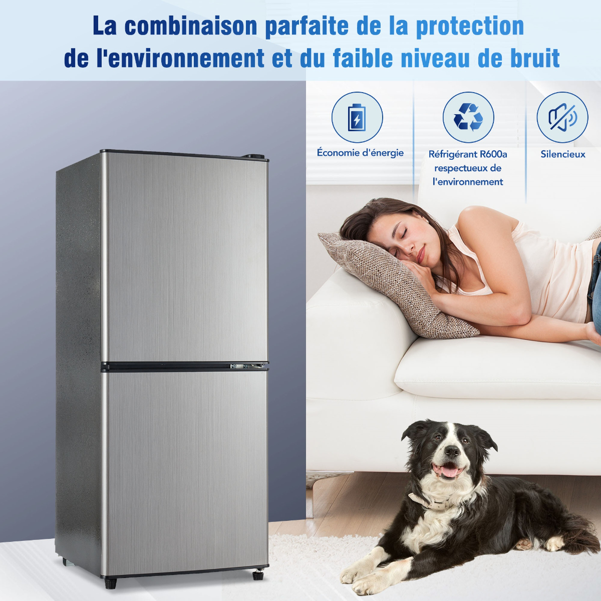 Silber-schwarzer Kühlschrank mit schlafender Frau und Hund.