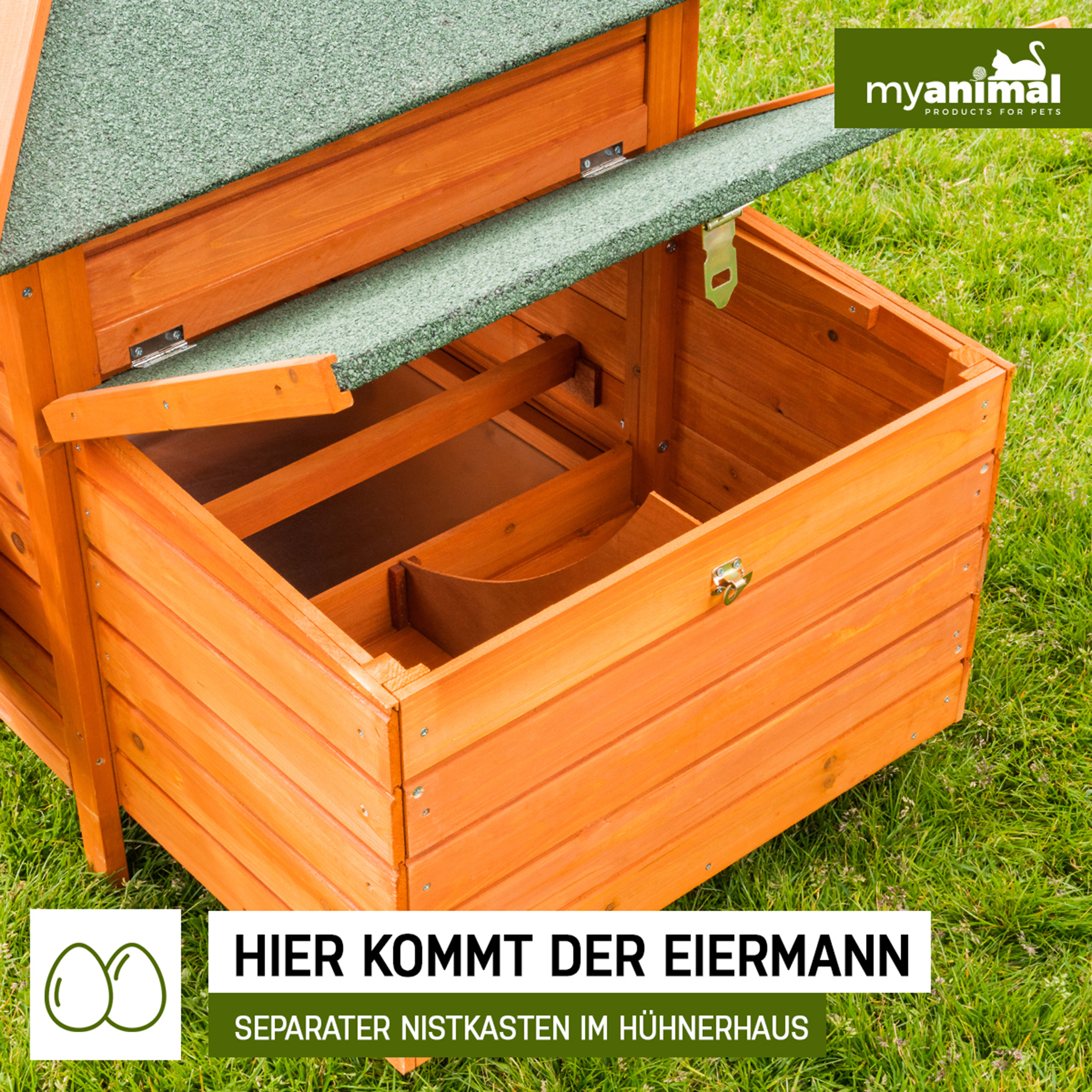 Hühnerstall aus Holz, offene Oberseite, grünes Dach und Text 'Hier kommt der Eiermann', 'Myanimal'.