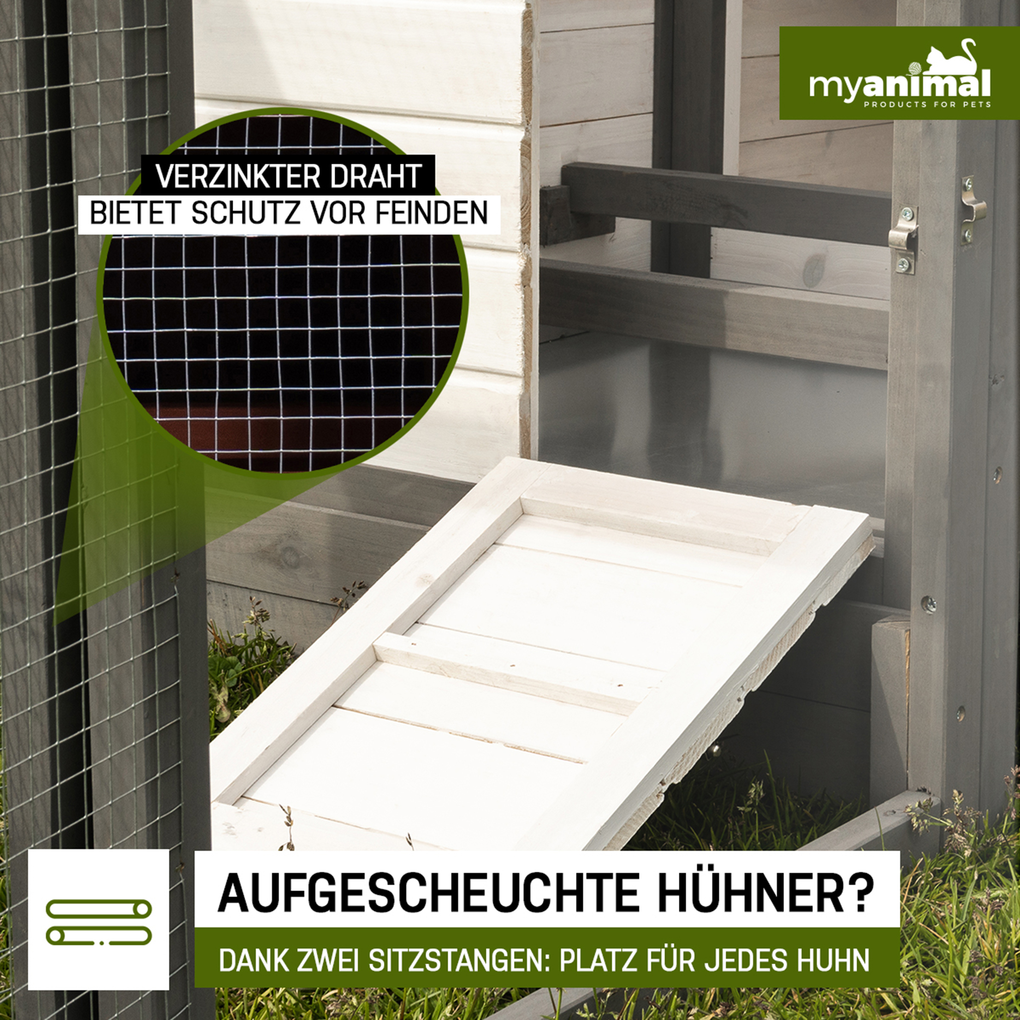 Hühnerstall mit Drahtgeflecht und Rampe. Text über Schutz und Platz für Hühner.