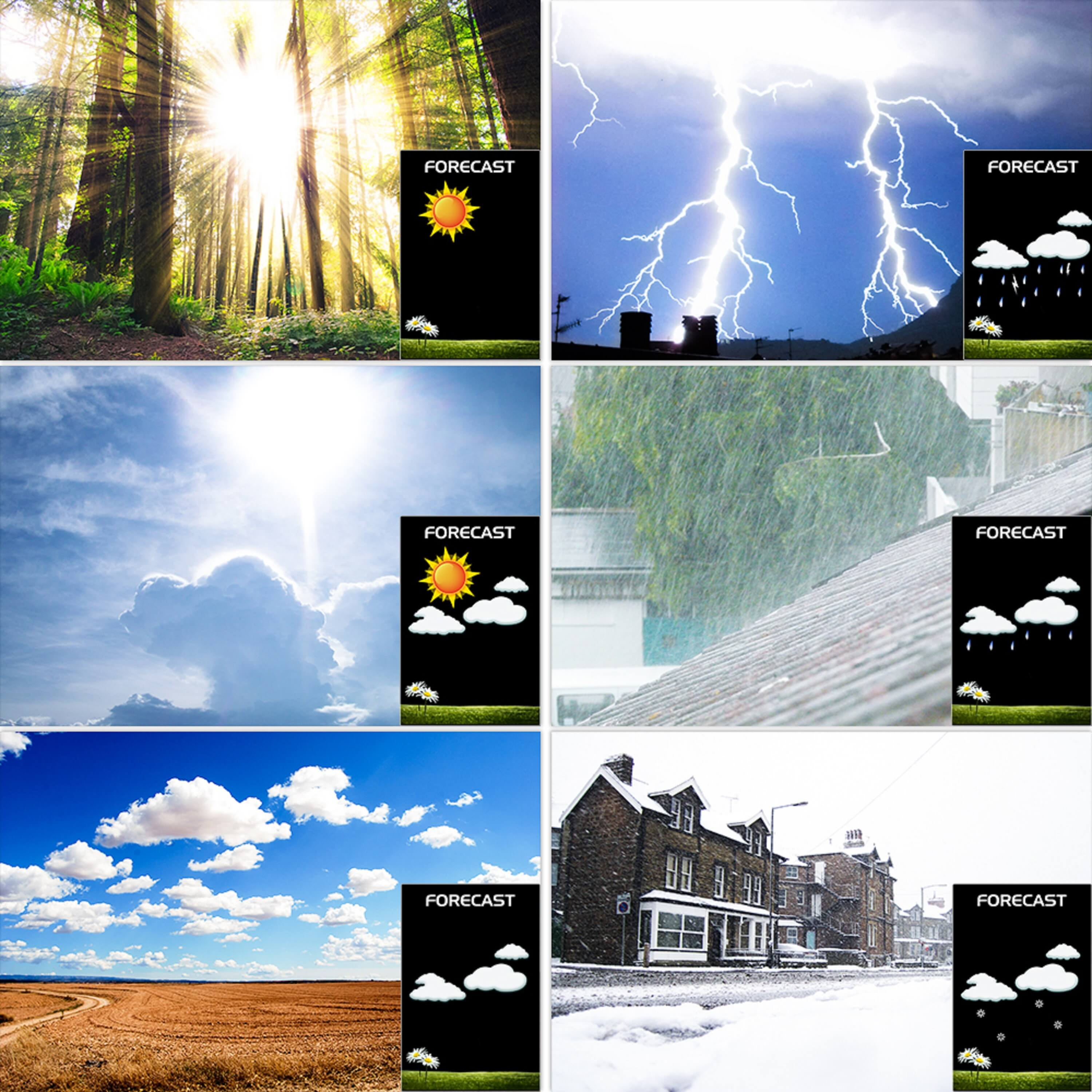 Wettervorhersage-Bilder: sonniger Wald, Blitz, Sonne mit Wolken, Regen, Wolken, Schnee, Haus.
