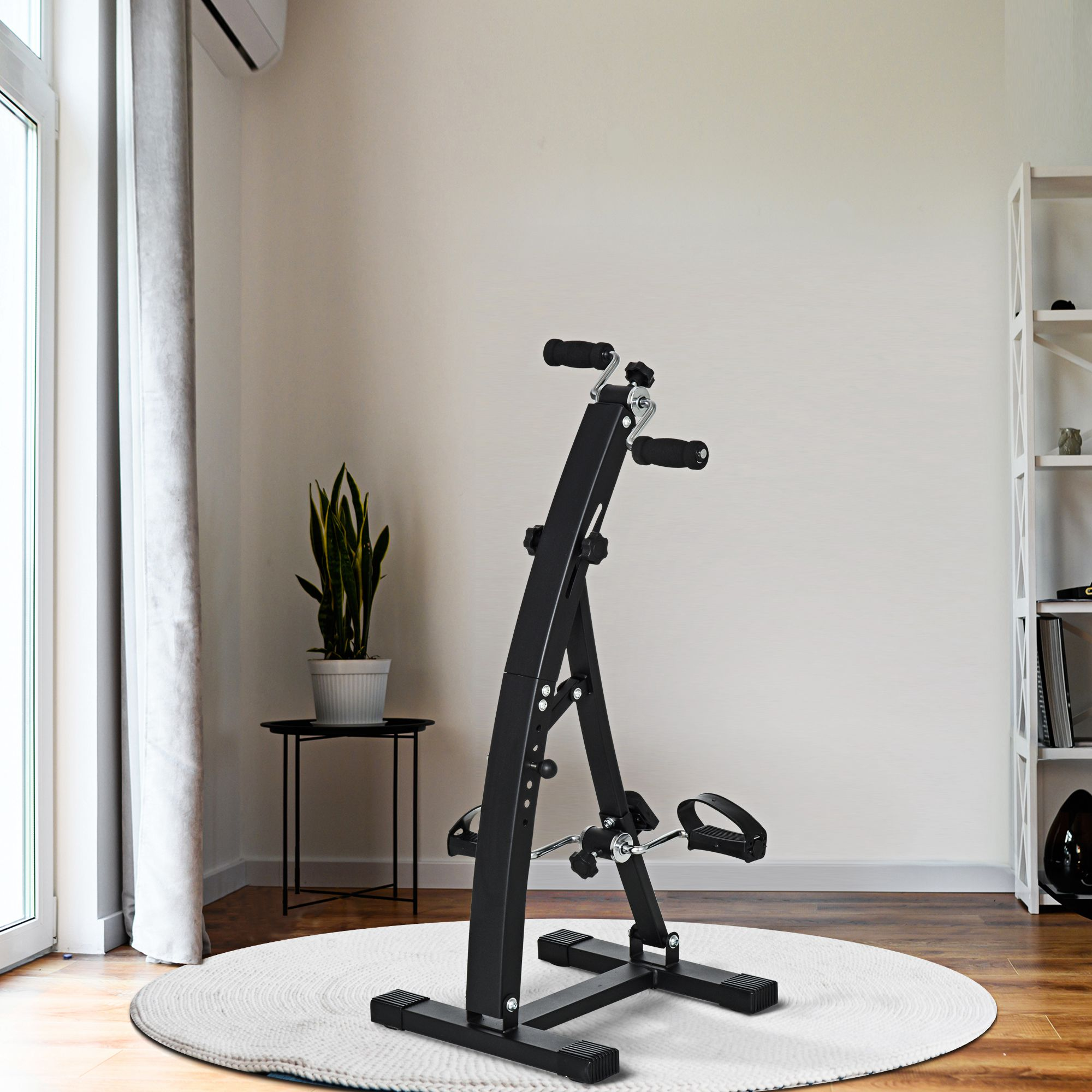 Bicicletta da ginnastica fissa in una stanza. C'è una pianta e un tappeto nella scena.