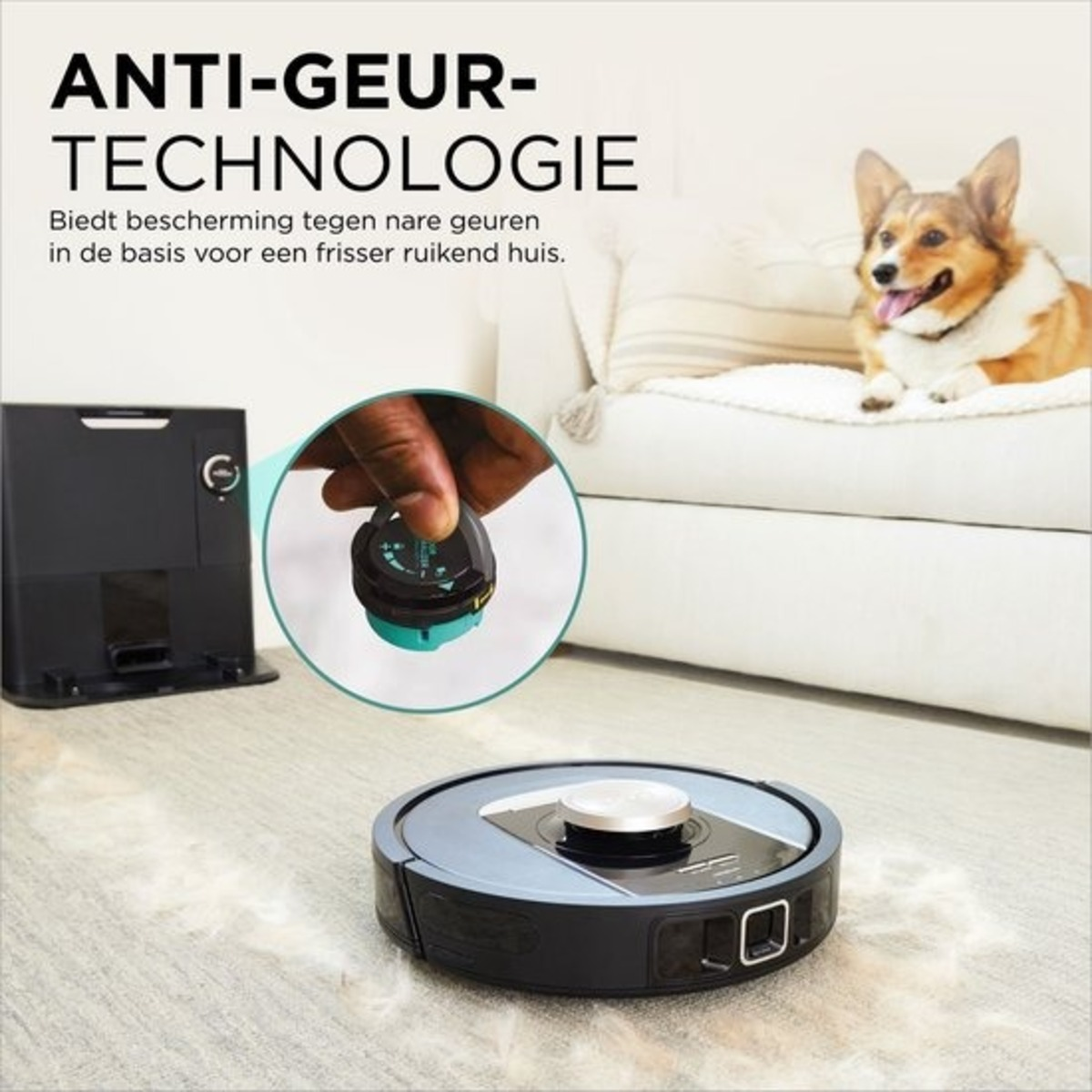 Een robotstofzuiger maakt een tapijt schoon. Een hond zit op de bank op de achtergrond.