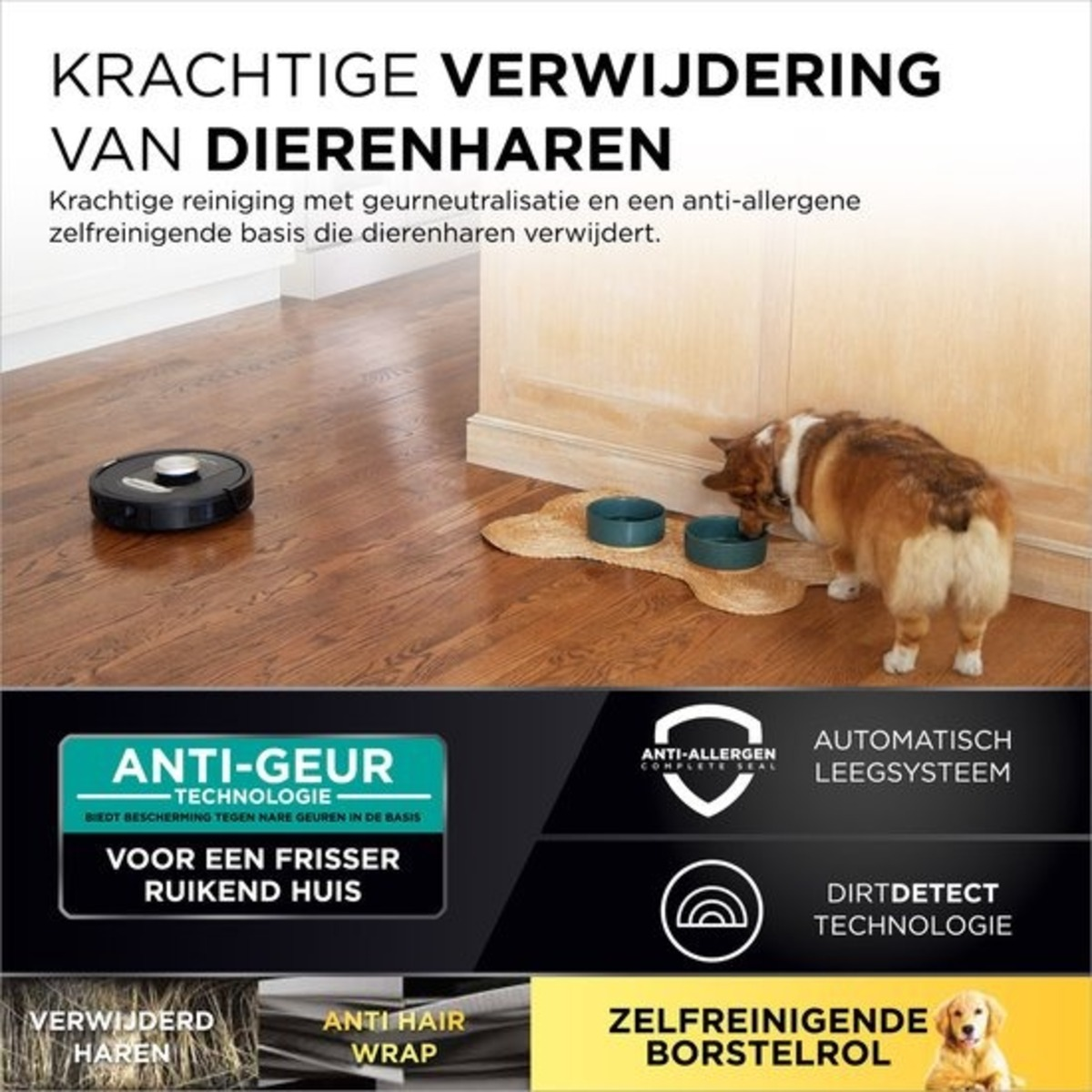 Robotstofzuiger op een houten vloer. Een hond eet uit een bak.