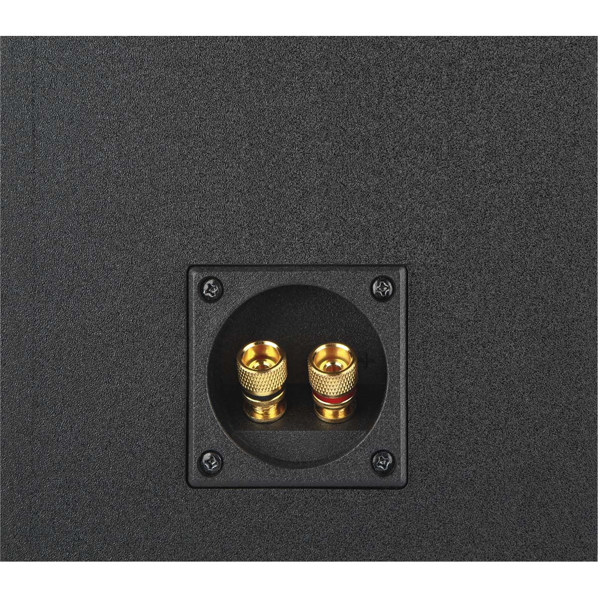 Due jack audio color oro sono posti in una scatola rettangolare nera.