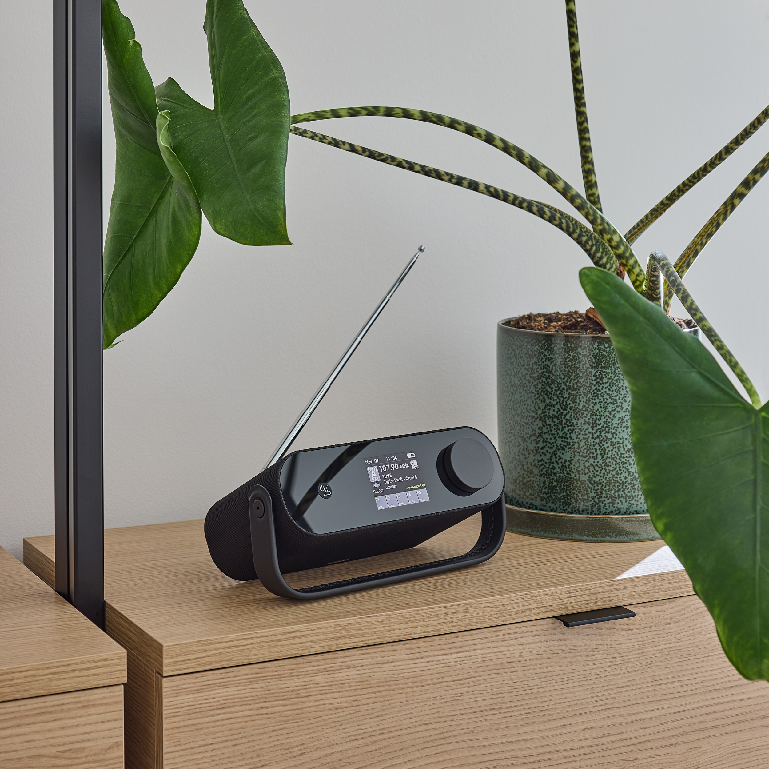 Ein schwarzes Radio steht auf einem Holztisch, im Hintergrund grüne Blätter und eine Pflanze.