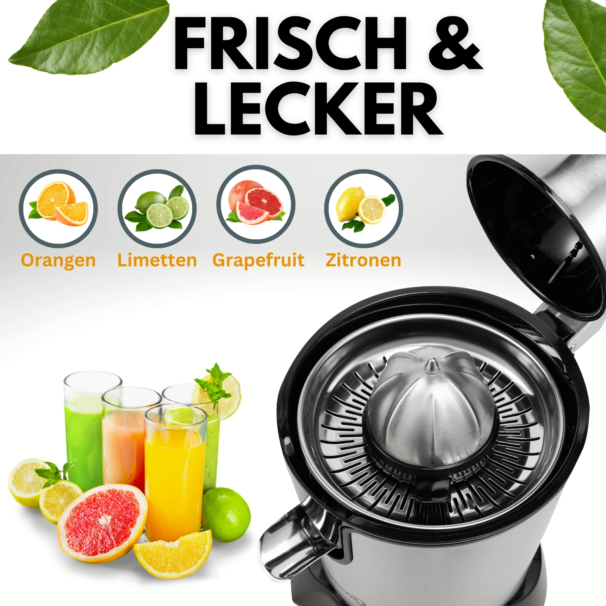 Entsafter mit Orangen, Limetten, Grapefruit und Zitronen. Gläser mit Saft und Früchte sind sichtbar.