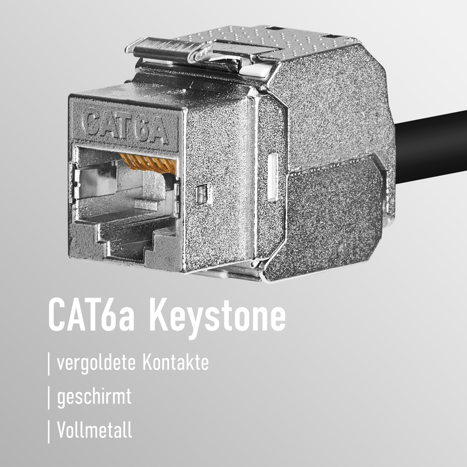 Nahaufnahme eines CAT6a Keystone-Steckverbinders. Der Stecker ist silberfarben und hat eine Metallabschirmung mit Goldkontakten.