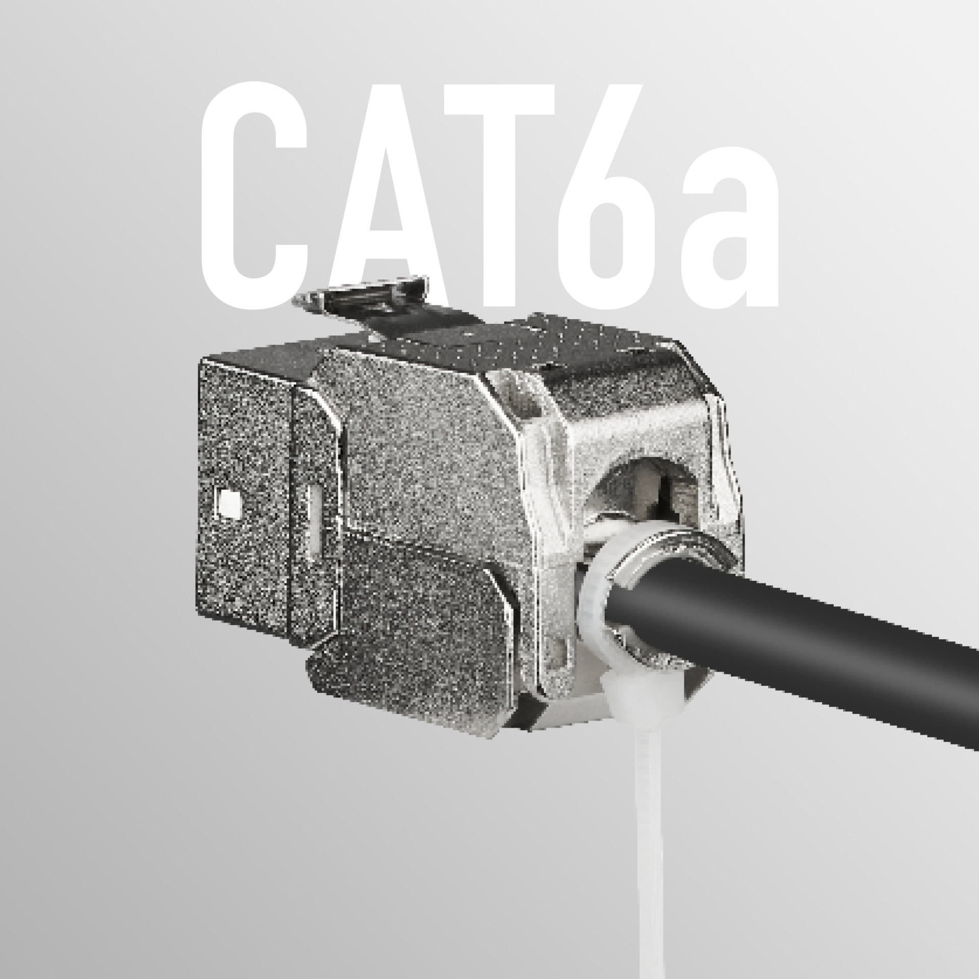Ein CAT6a-Anschluss mit angeschlossenem schwarzem Kabel und dem Text 'CAT6a' darüber.