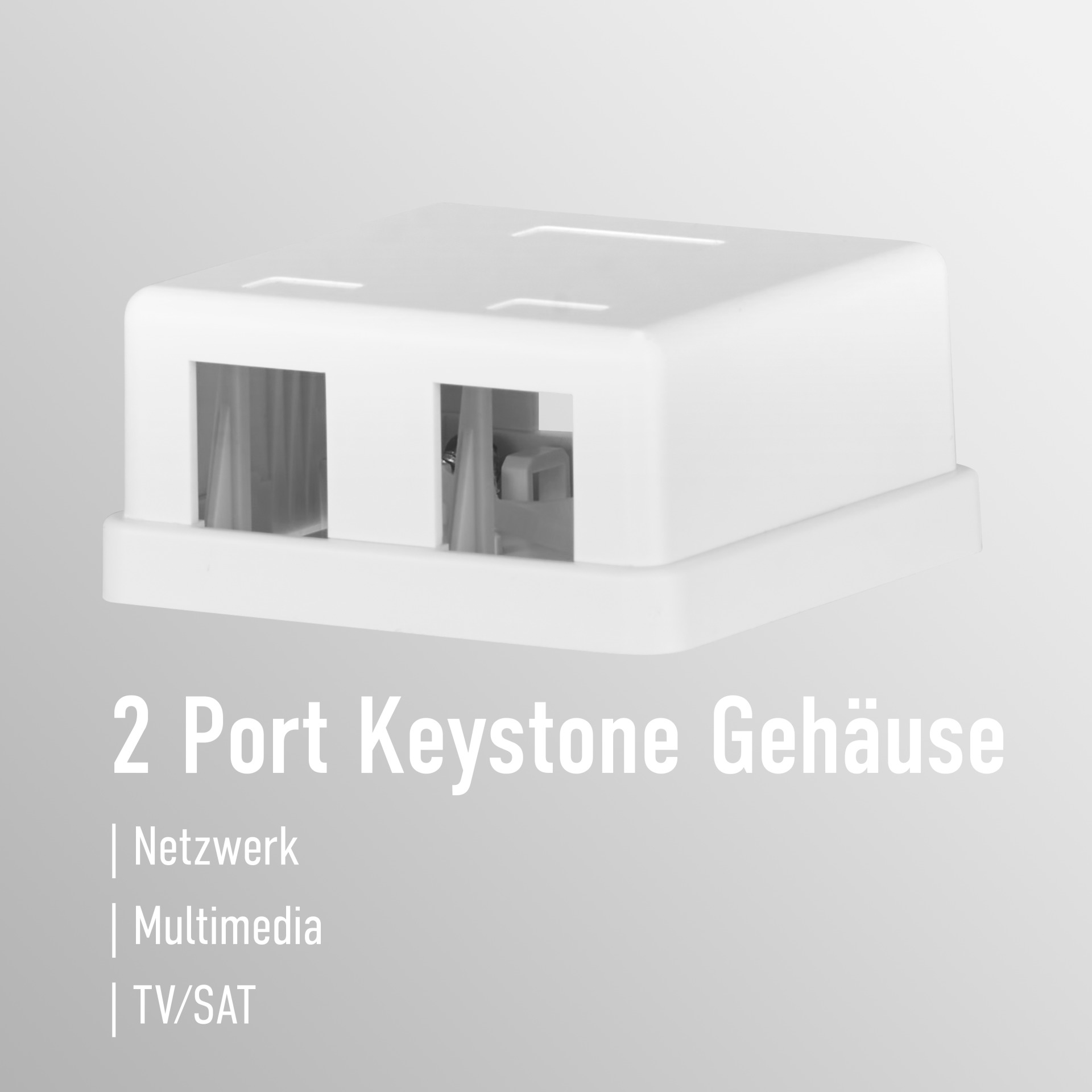 Weißes Keystone-Gehäuse mit zwei Anschlüssen. Text: 2 Port Keystone Gehäuse, mit Netzwerk, Multimedia, TV/SAT.
