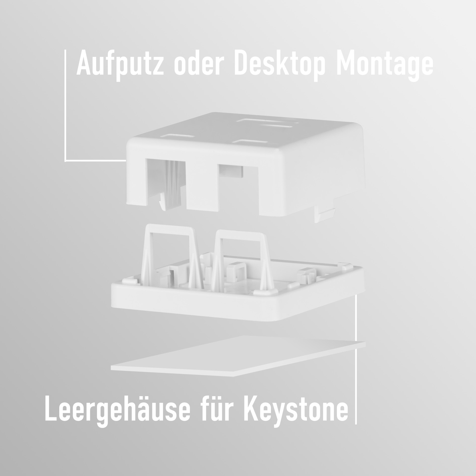 Weiße Keystone-Buchsen-Montageteile, Explosionsansicht. Text: Aufputz- oder Desktop-Montage, Leergehäuse.