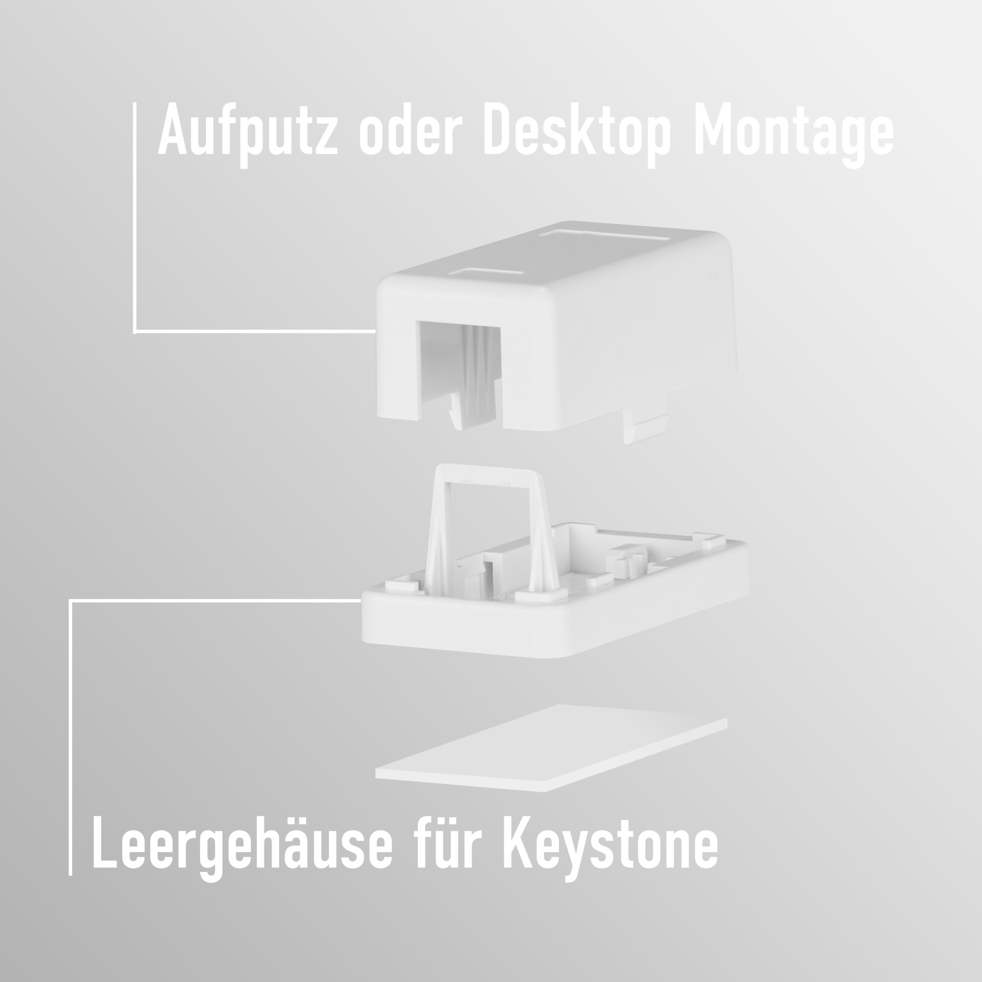Diagramm eines Keystone-Jacks. Zeigt die Komponenten und Textbeschriftungen für die Aufputz- oder Desktop-Montage.