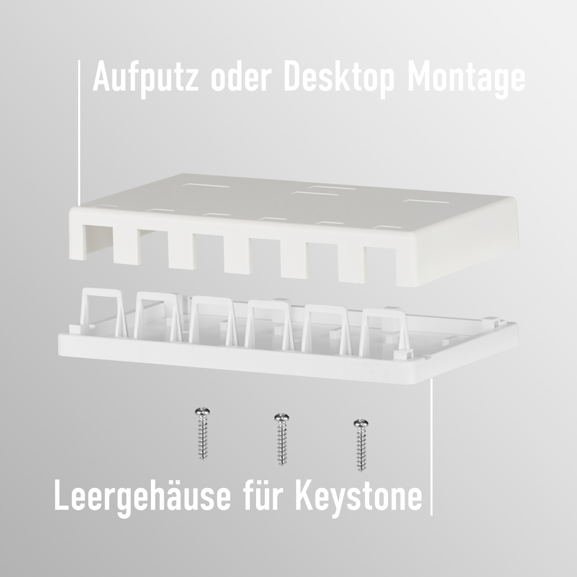 Ein weißes Keystone-Gehäuse zerlegt, um die innere Struktur und die Schrauben zu zeigen.