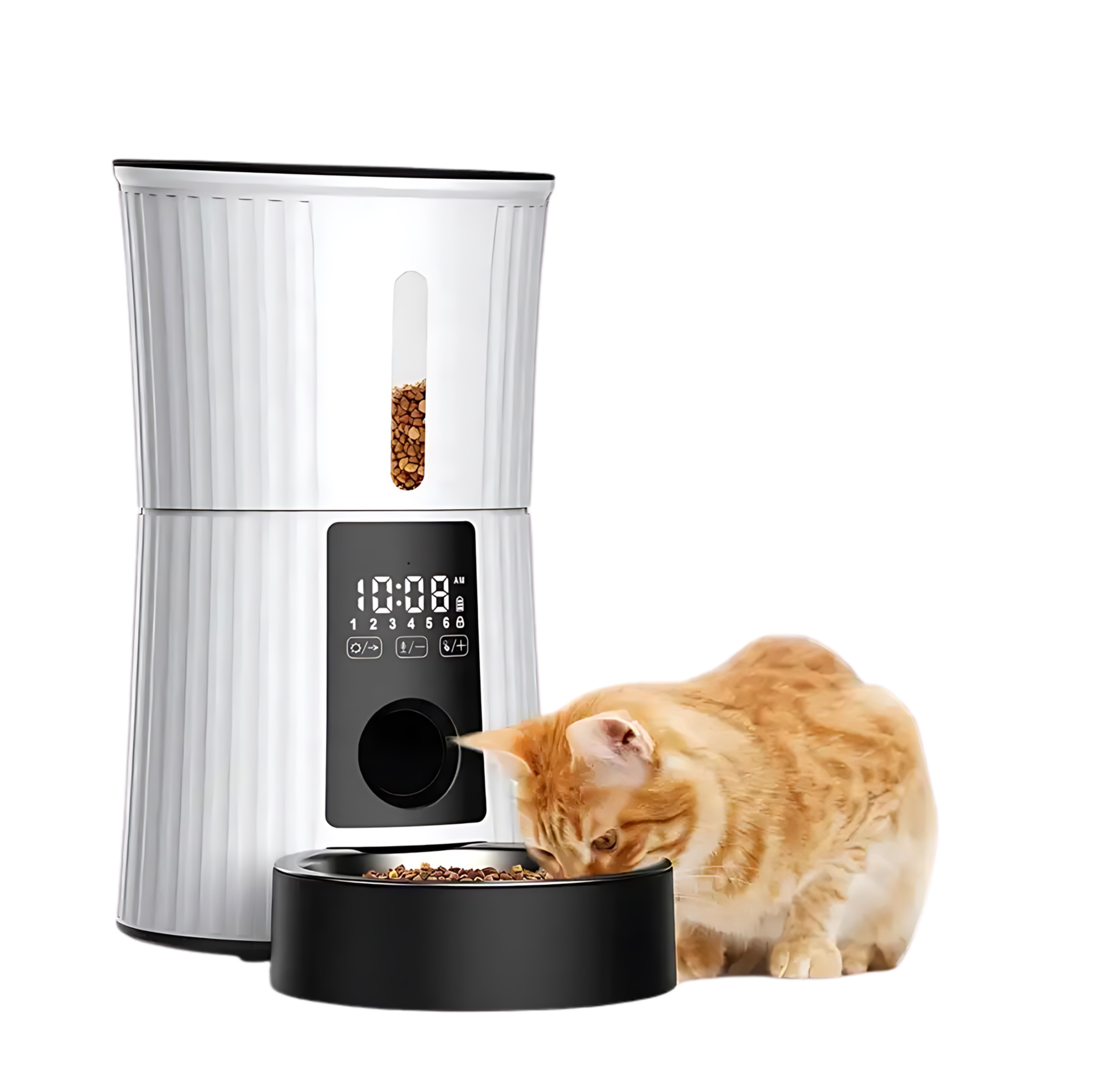 Gatto rosso che mangia da una mangiatoia automatica per animali domestici su sfondo bianco.