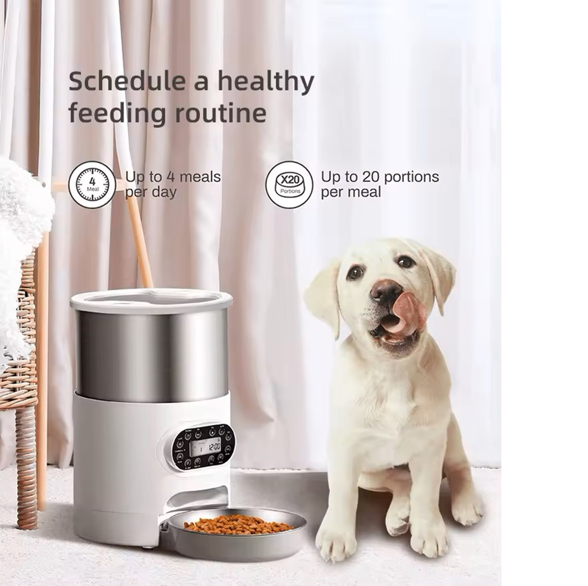 Un cane e un alimentatore intelligente. Mostra tempo e pasti. Testo: Pianifica una routine sana.