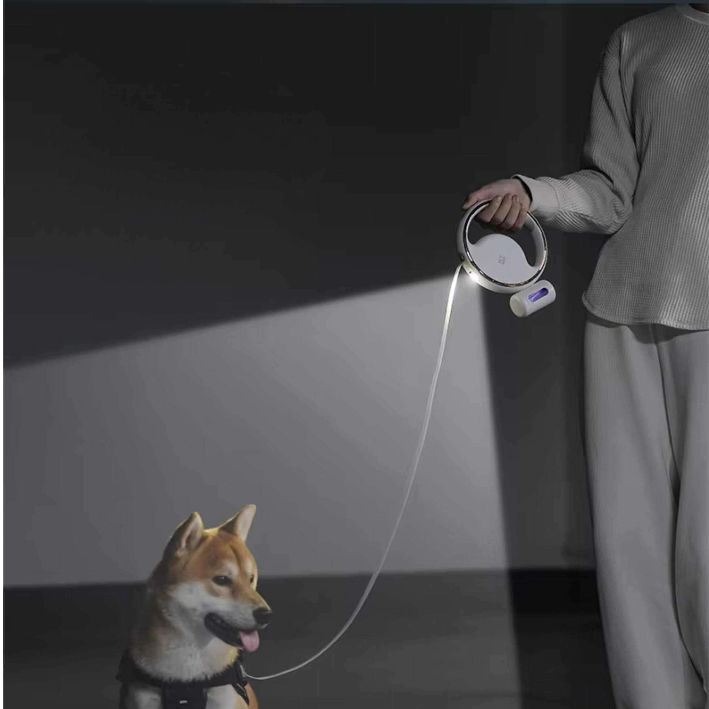 Persona che tiene un guinzaglio con una luce. Un cane è nella scena.