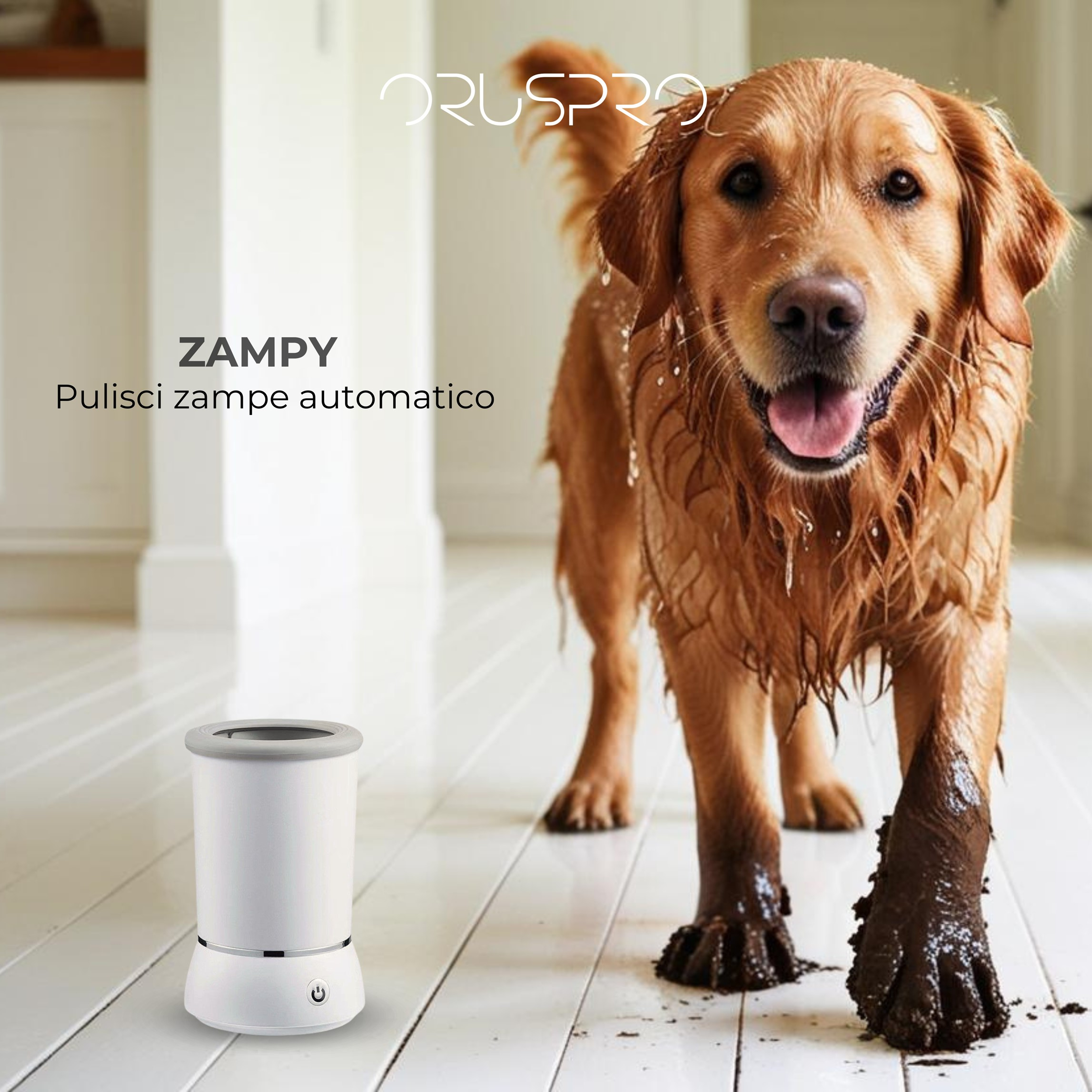 Un cane con zampe infangate è vicino a un pulisci zampe automatico bianco.