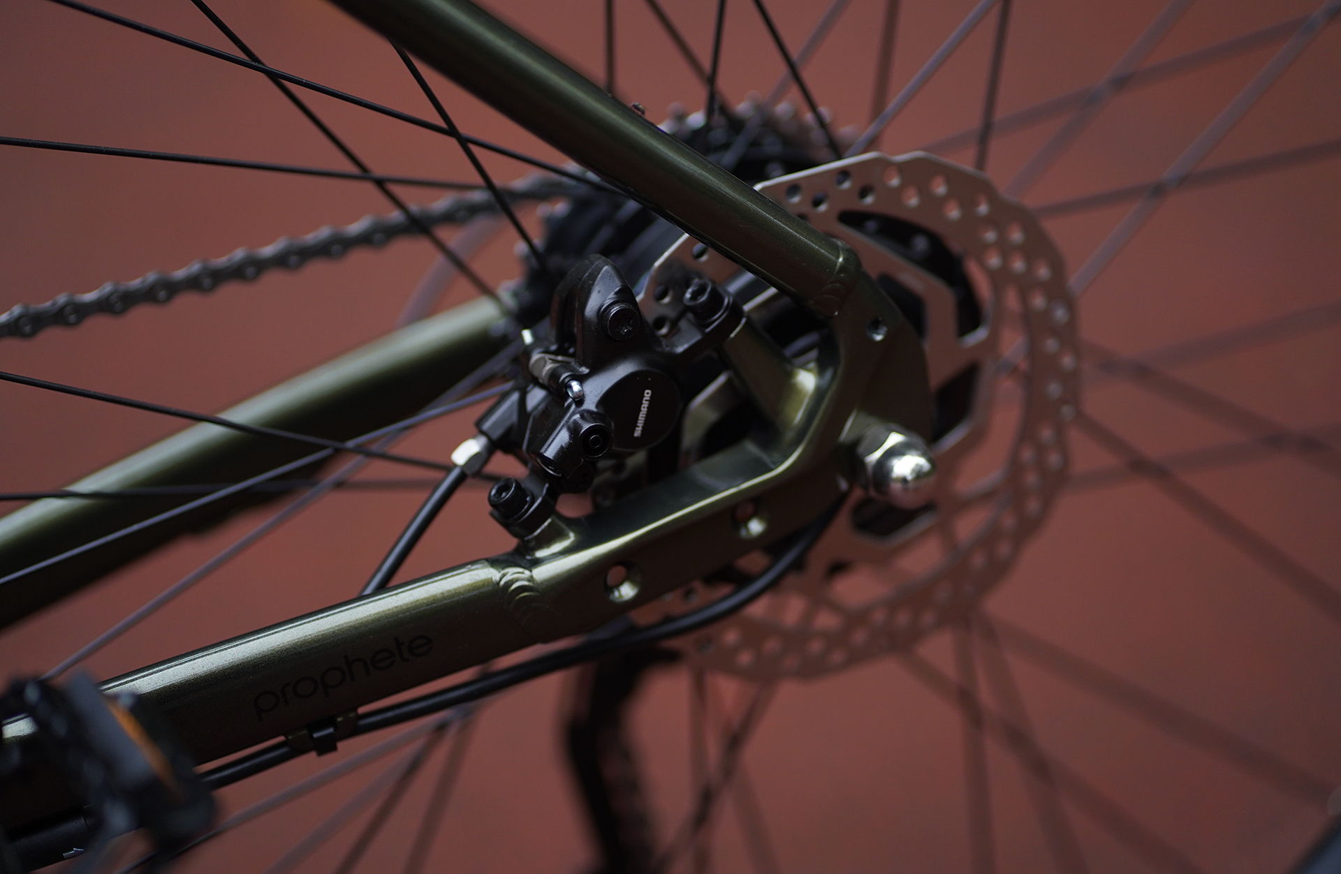 Nahaufnahme der Fahrradbremse und des Rades mit Speichen und Kette.