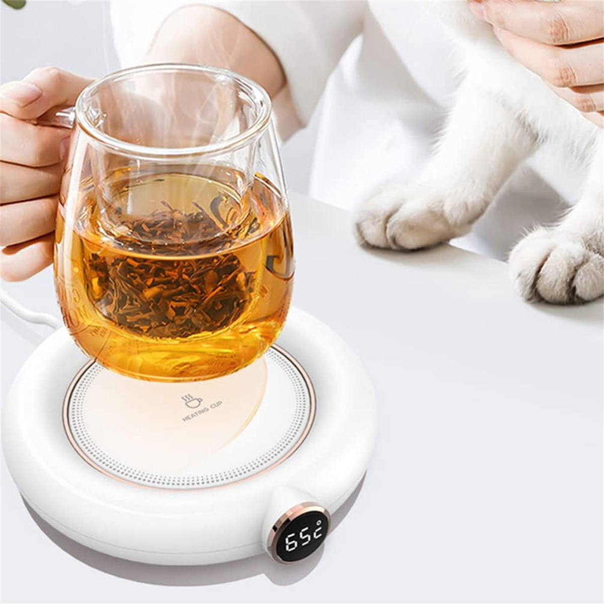 Ein Tassenwärmer mit einem Glas Tee und einer Katzenpfote auf weißem Untergrund.