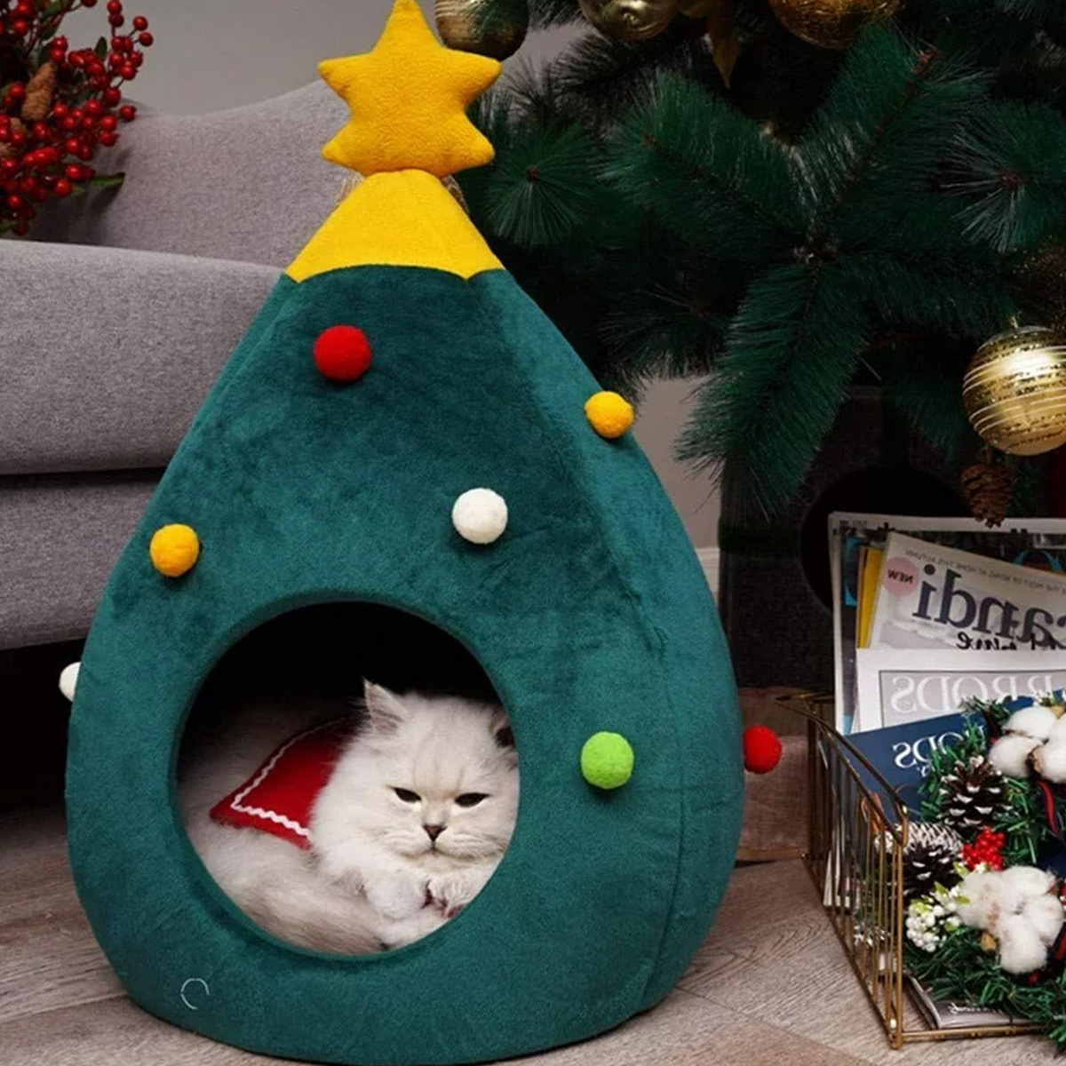 Weiße Katze in grünem Weihnachtsbaum-Katzenbett, gelber Stern oben, freigestellt.
