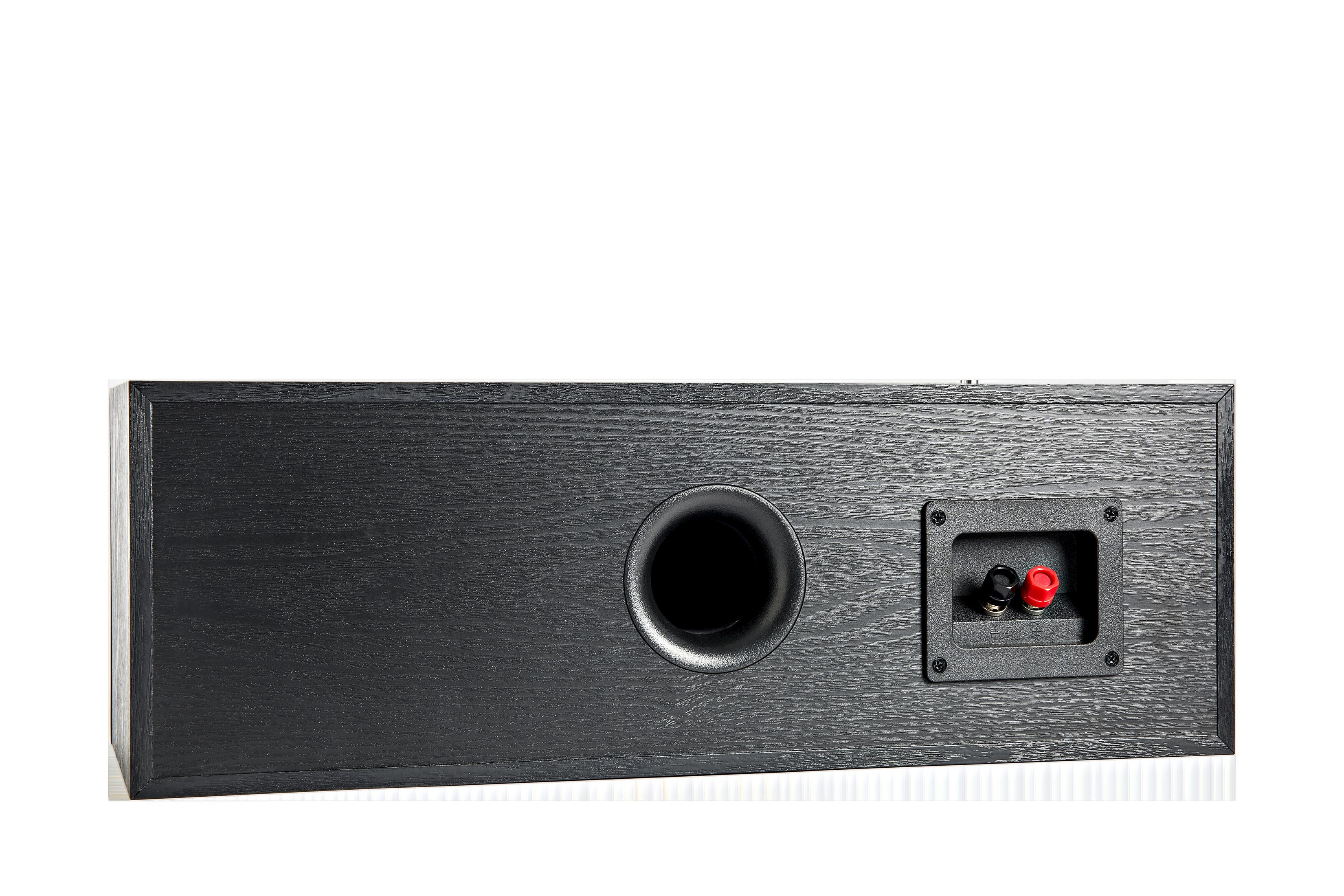 Schwarzer Lautsprecher, Rückansicht, mit Subwoofer-Loch und Anschlussfeld, weißer Hintergrund.