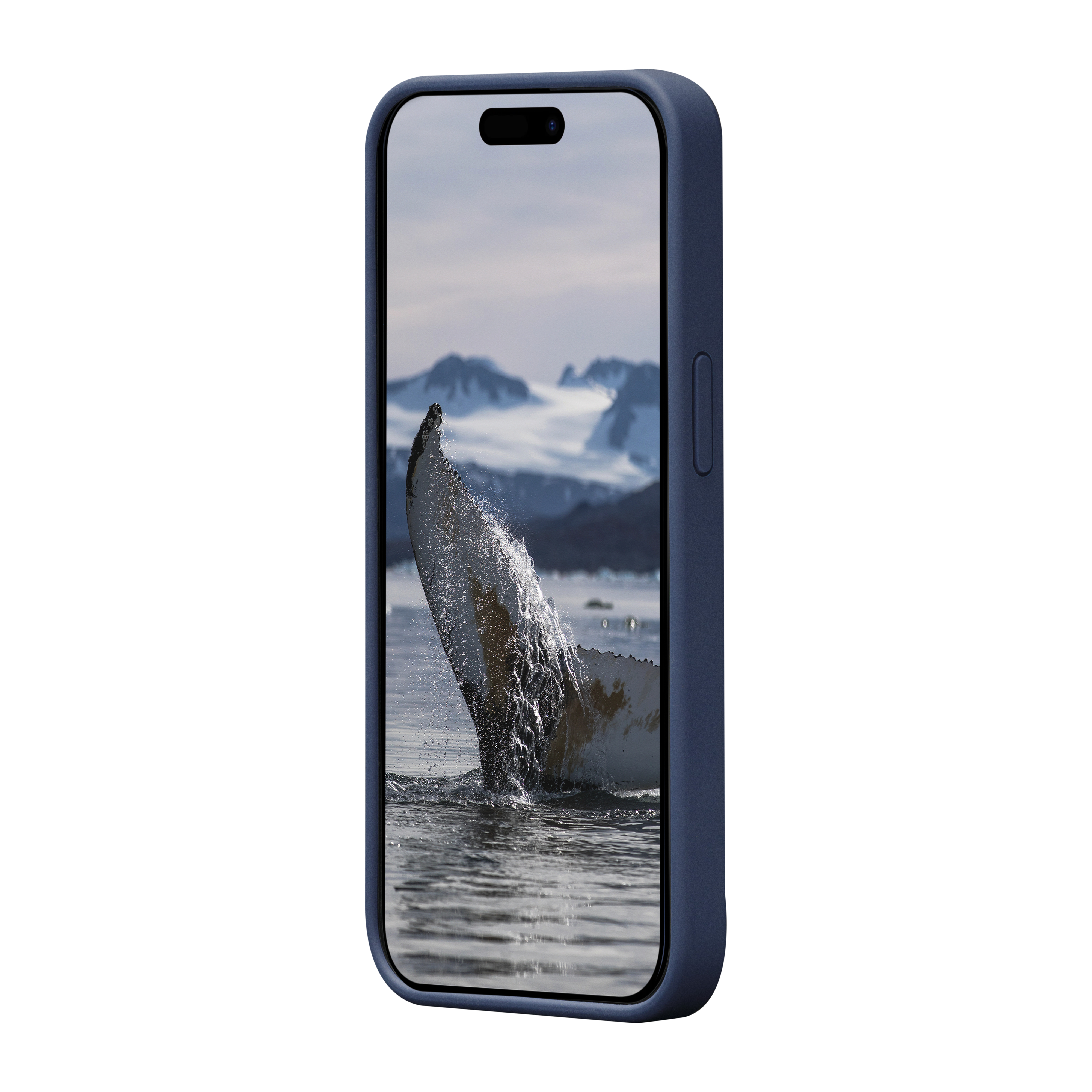 Un telefono in una custodia blu, che mostra la coda di una balena che rompe l'acqua su uno sfondo innevato.