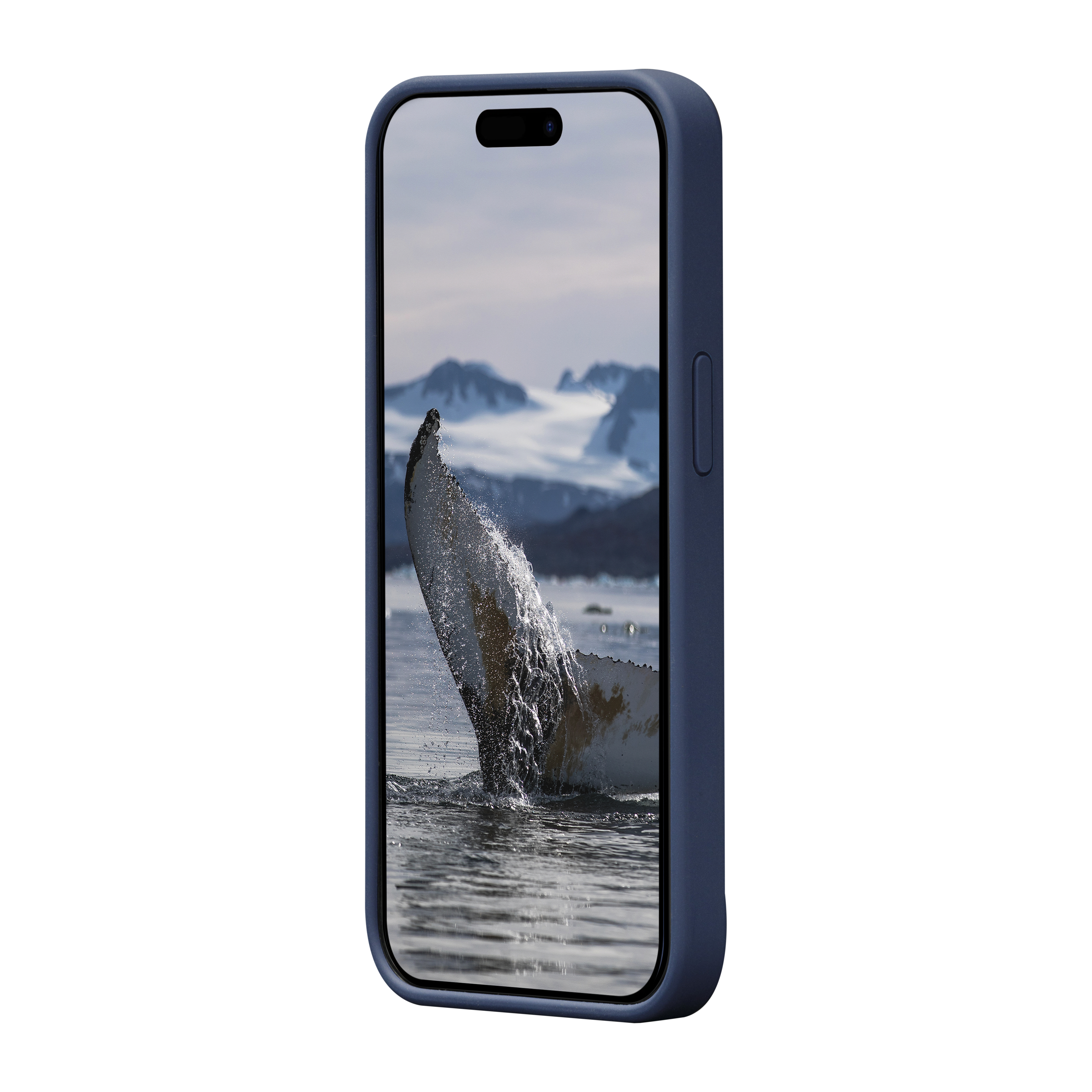 Telefono in custodia blu, mostra la coda di una balena che rompe l'acqua in un paesaggio innevato.
