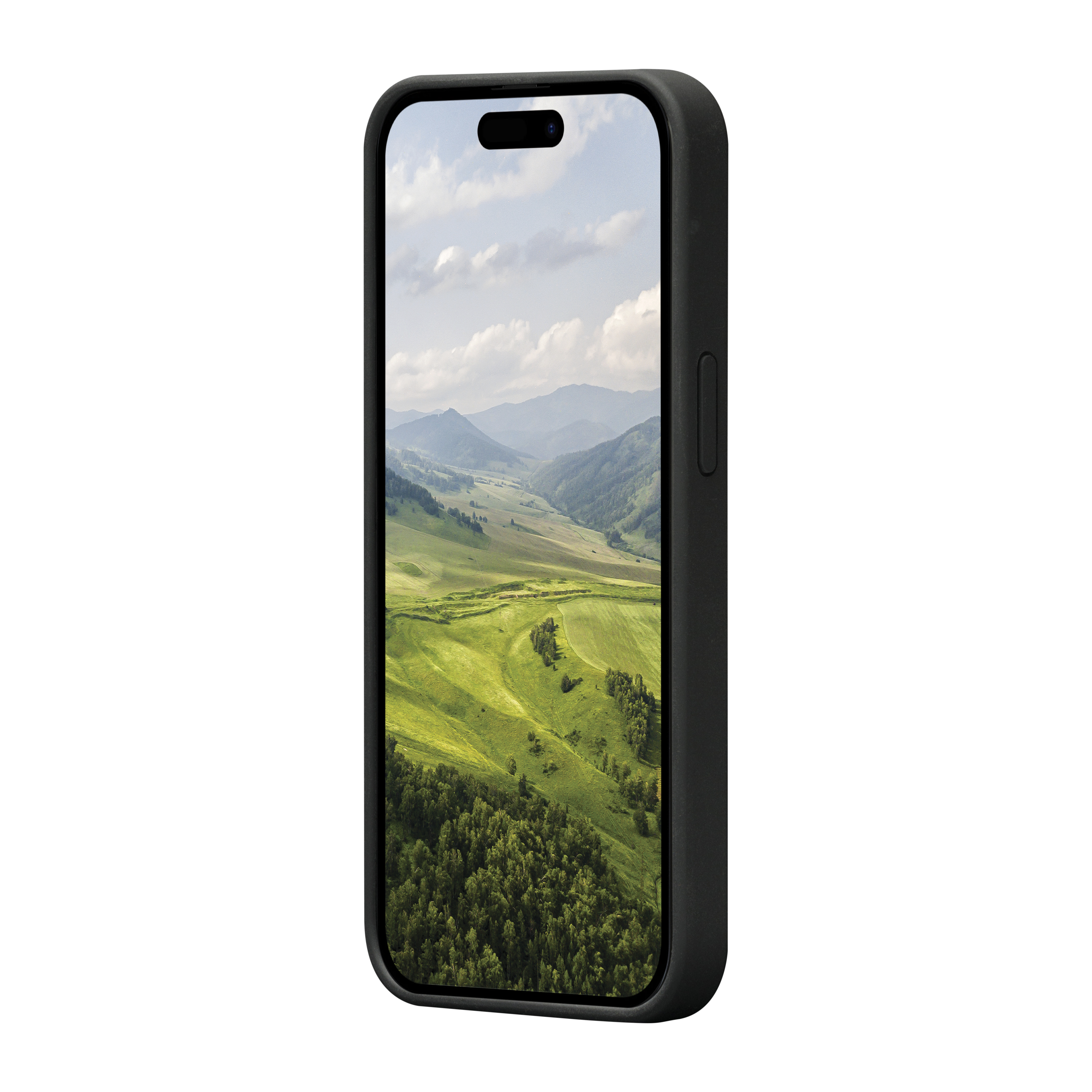 Ein schwarzes Telefon in einer Hülle, das eine Landschaft zeigt. Das Telefon wird vertikal gehalten.