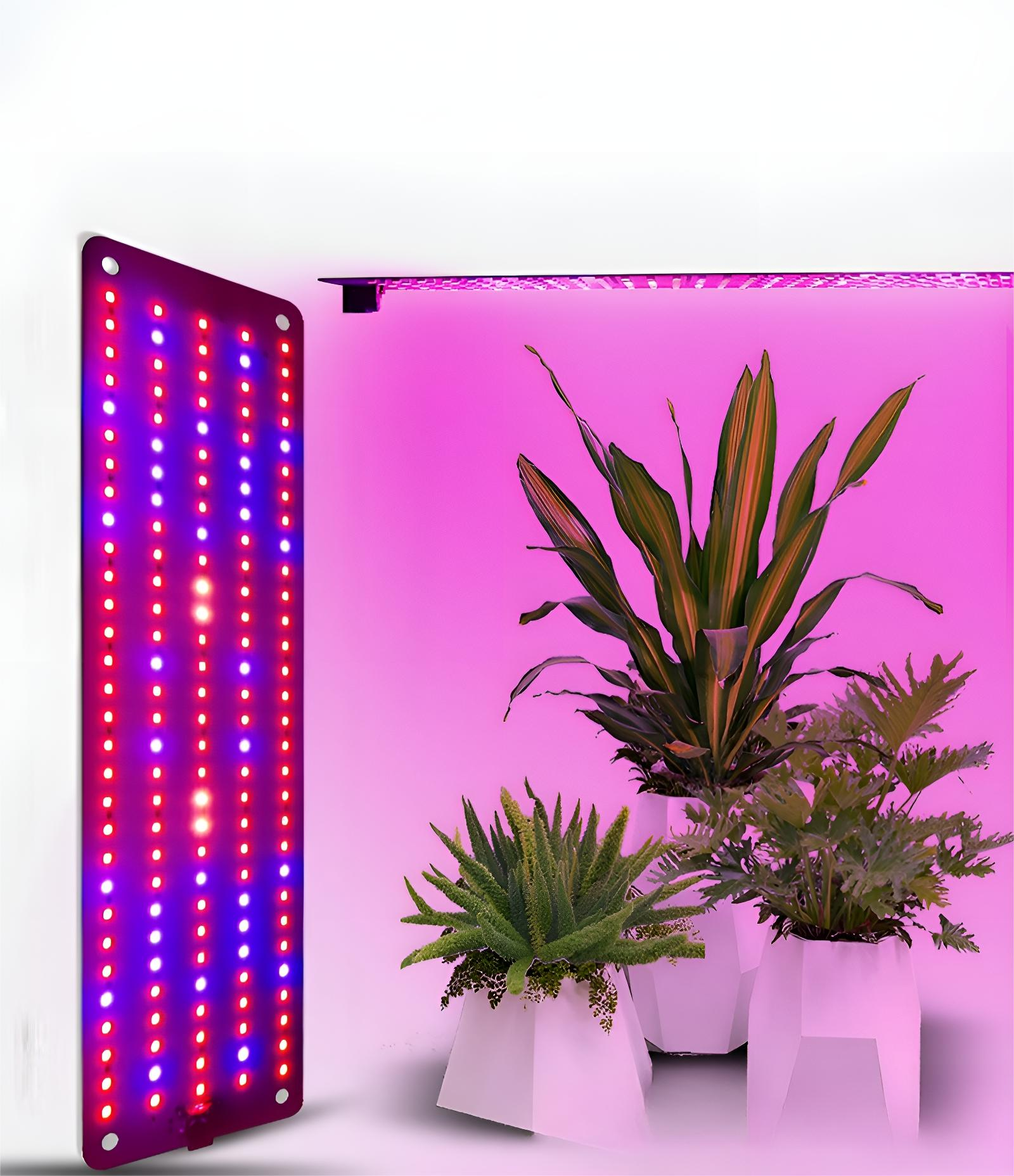 Eine Pflanzenlampe mit roten und blauen LEDs und Pflanzen.