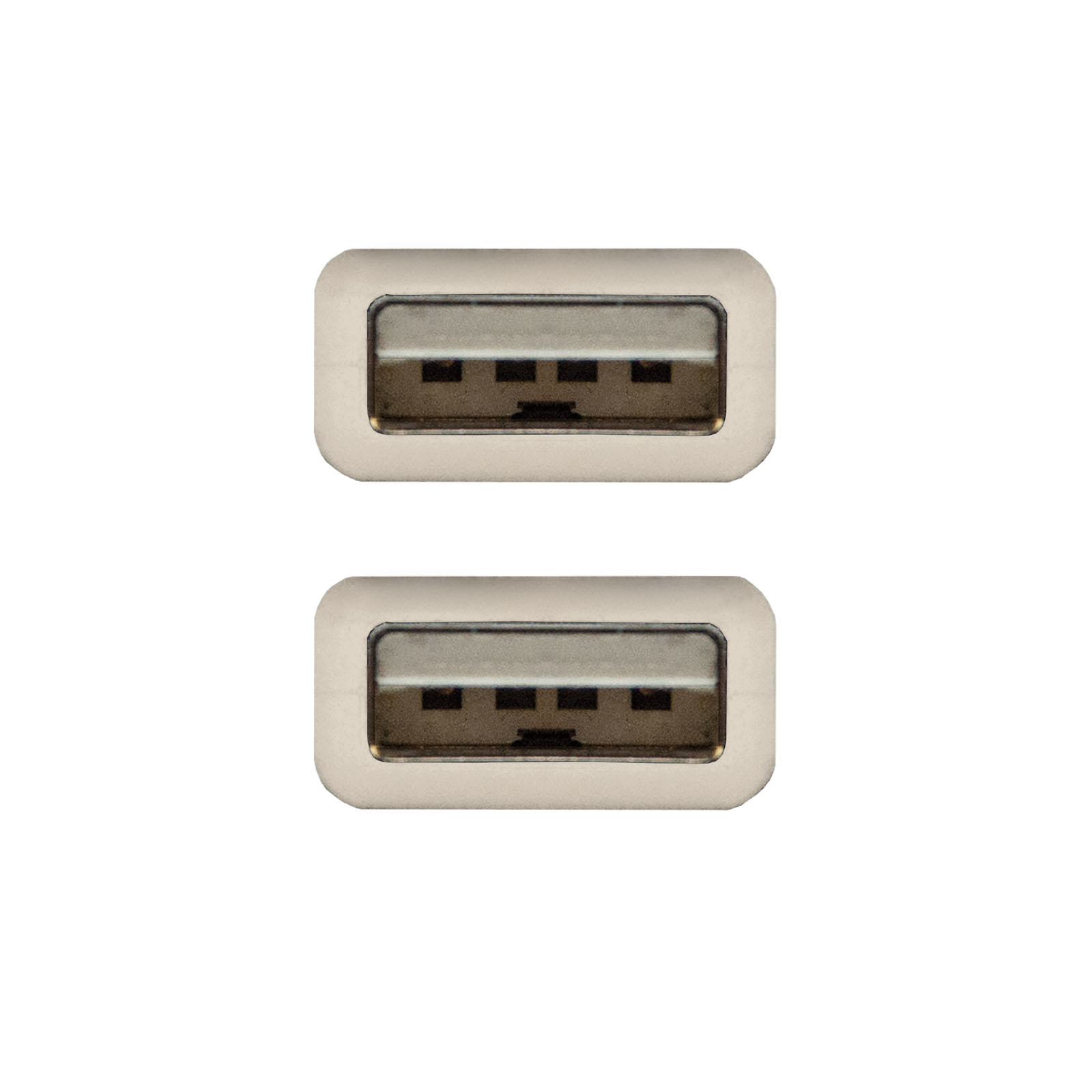Due porte USB argentate affiancate, su sfondo bianco.