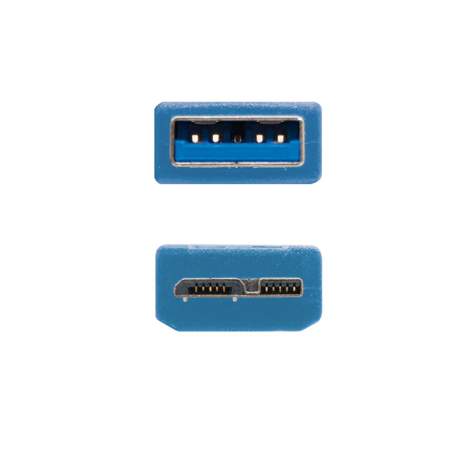 Due connettori USB blu, uno con apertura rettangolare e l'altro più piccolo e scanalato.