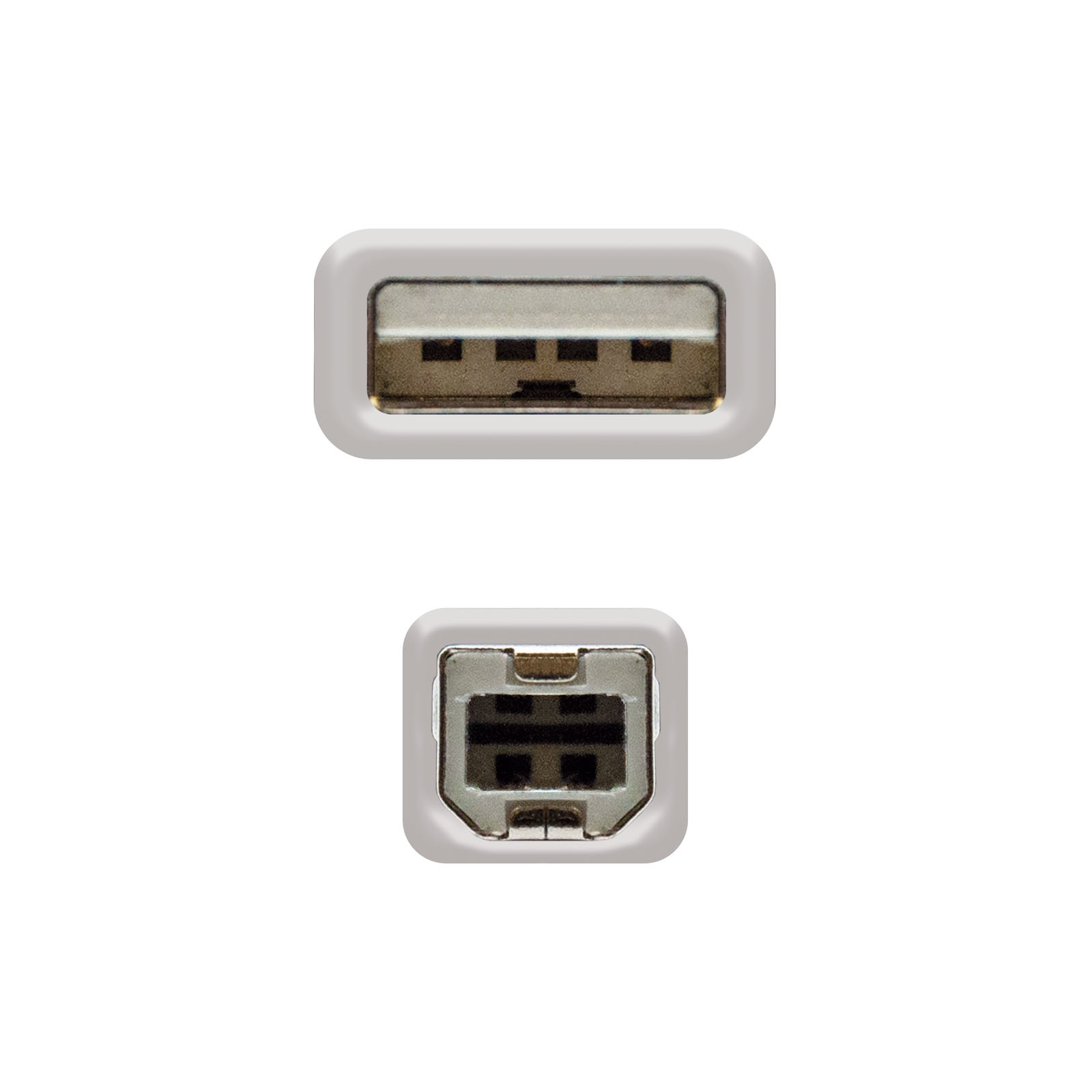 Dos conectores USB blancos sobre fondo blanco. Arriba el extremo hembra.