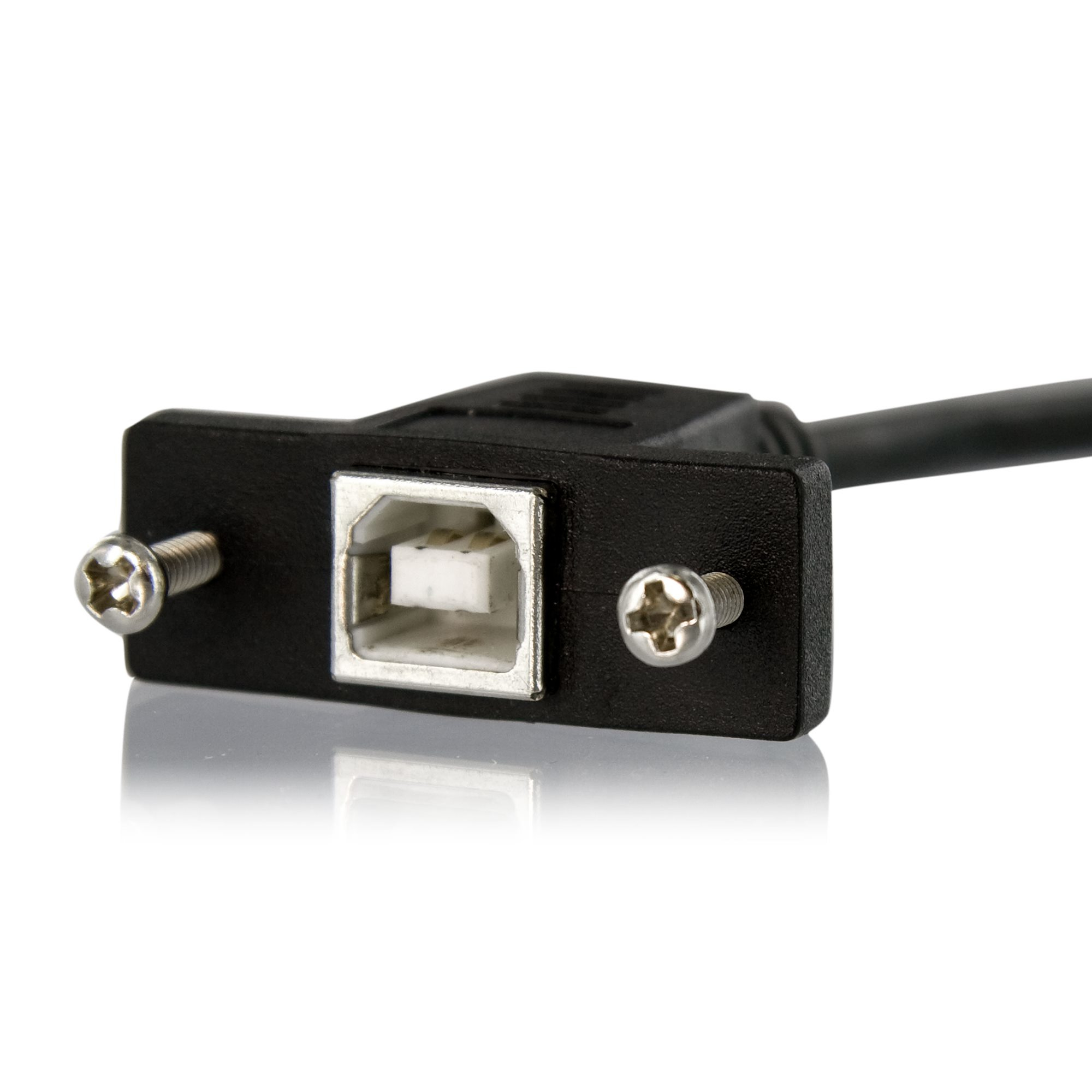 Porta USB nera con viti, primo piano.