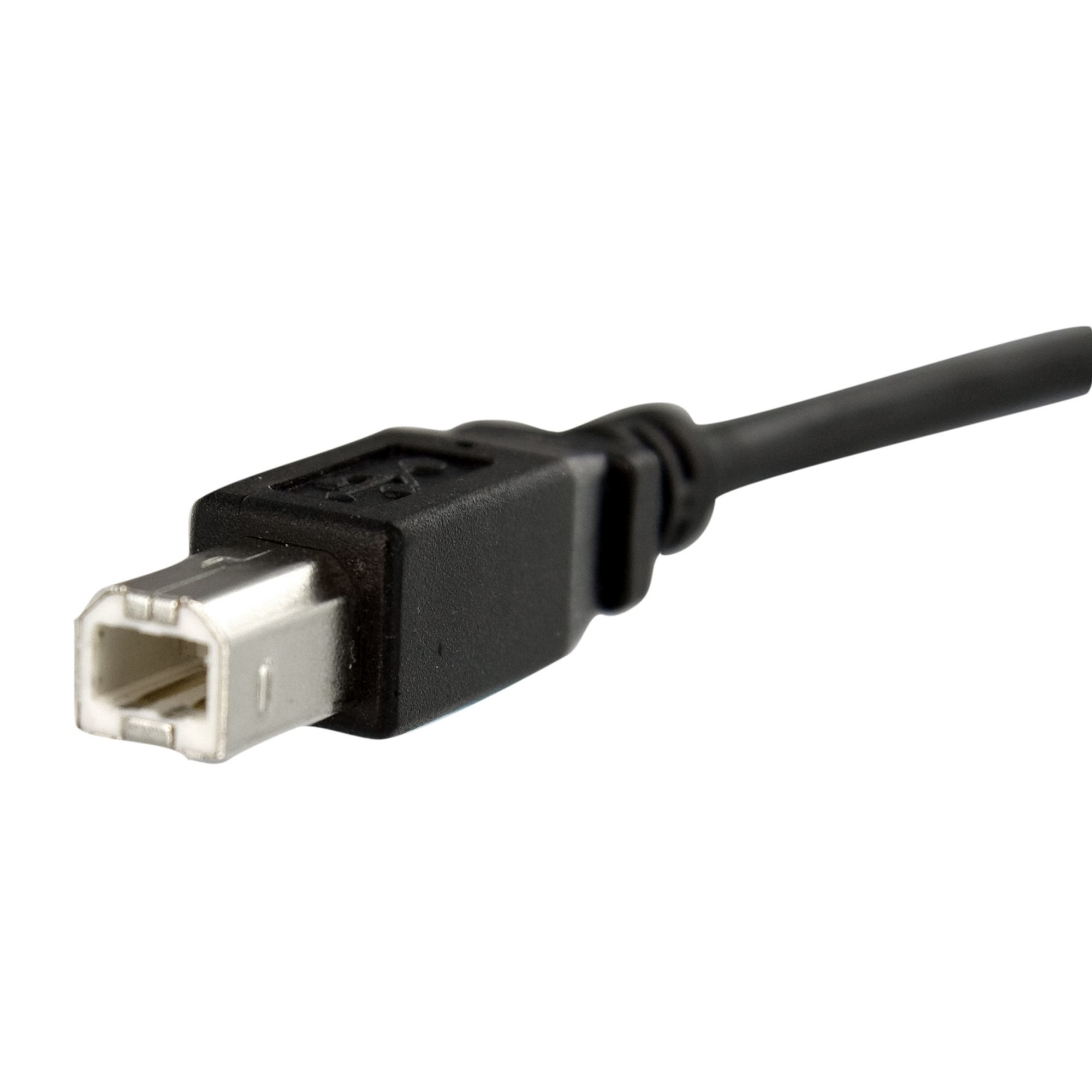 Primo piano di un cavo USB nero con connettore USB-B su sfondo bianco.