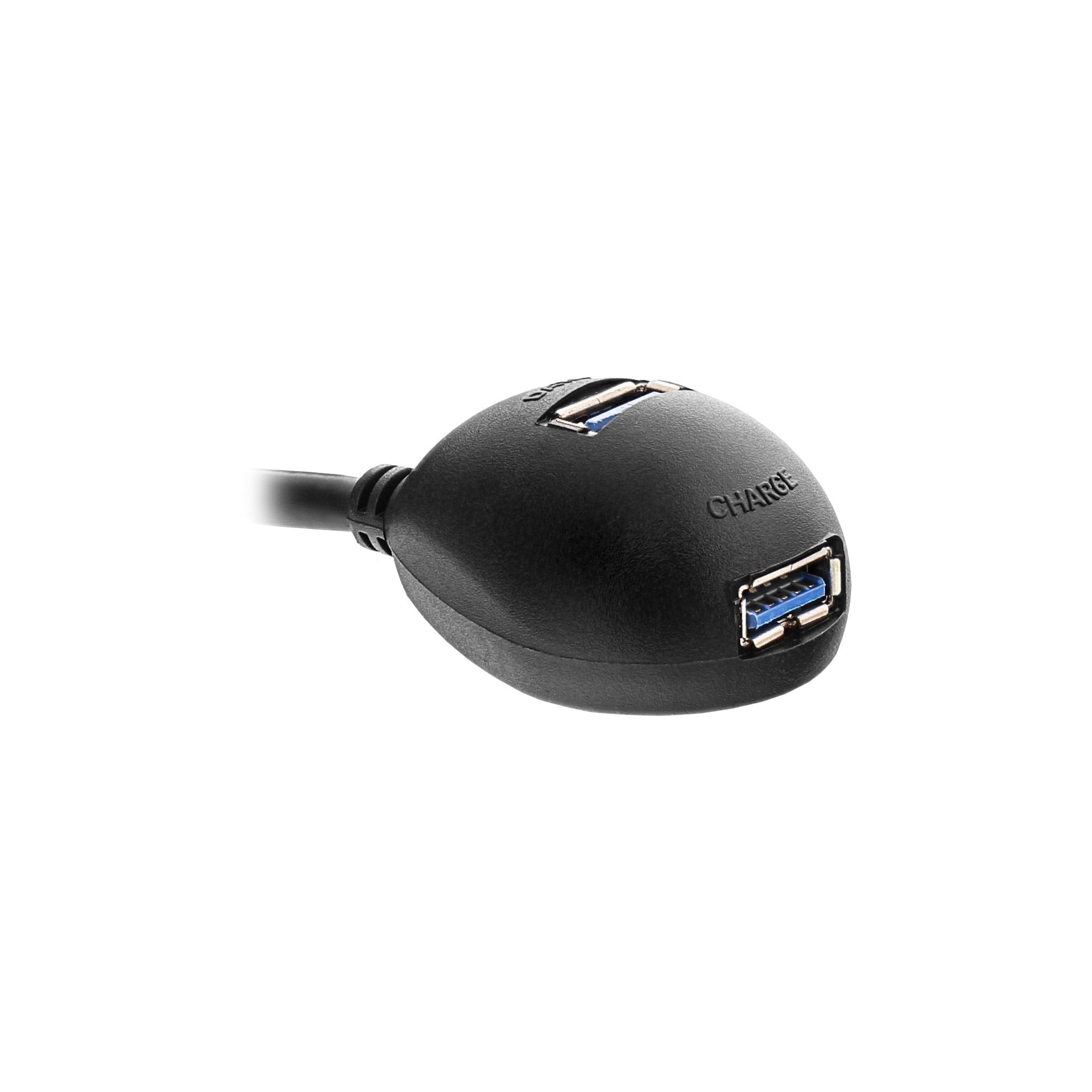 Un hub USB noir avec 2 ports USB. Le hub a un câble connecté.