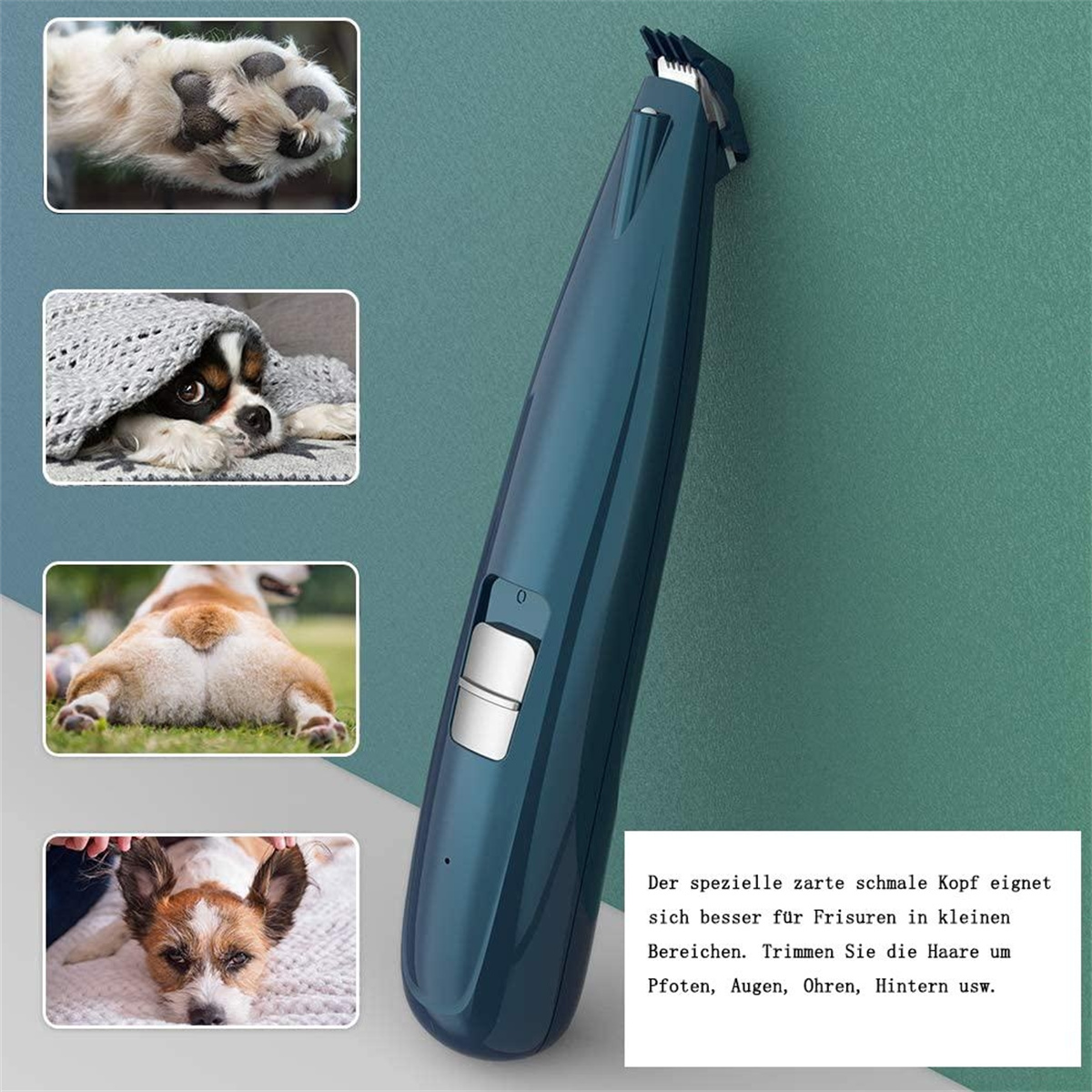 Hunde-Pflegewerkzeug und Bilder von Hunden. Werkzeug ist blau. Bilder zeigen Hunde in verschiedenen Posen und Situationen.