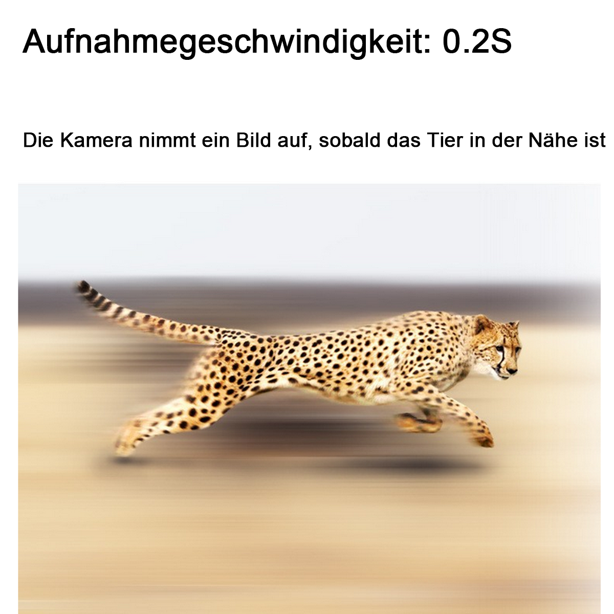 Gepard rennt mit Bewegungsunschärfe. Hintergrund ist verschwommenes Beige. Der Gepard hat schwarze Flecken.