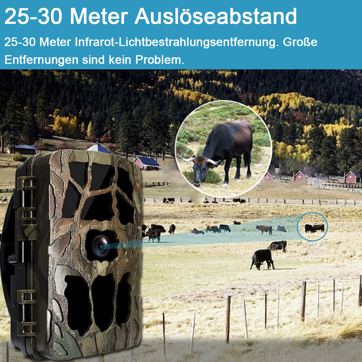 Tarn-Trail-Kamera in einem Feld mit Kühen und Bäumen im Hintergrund.
