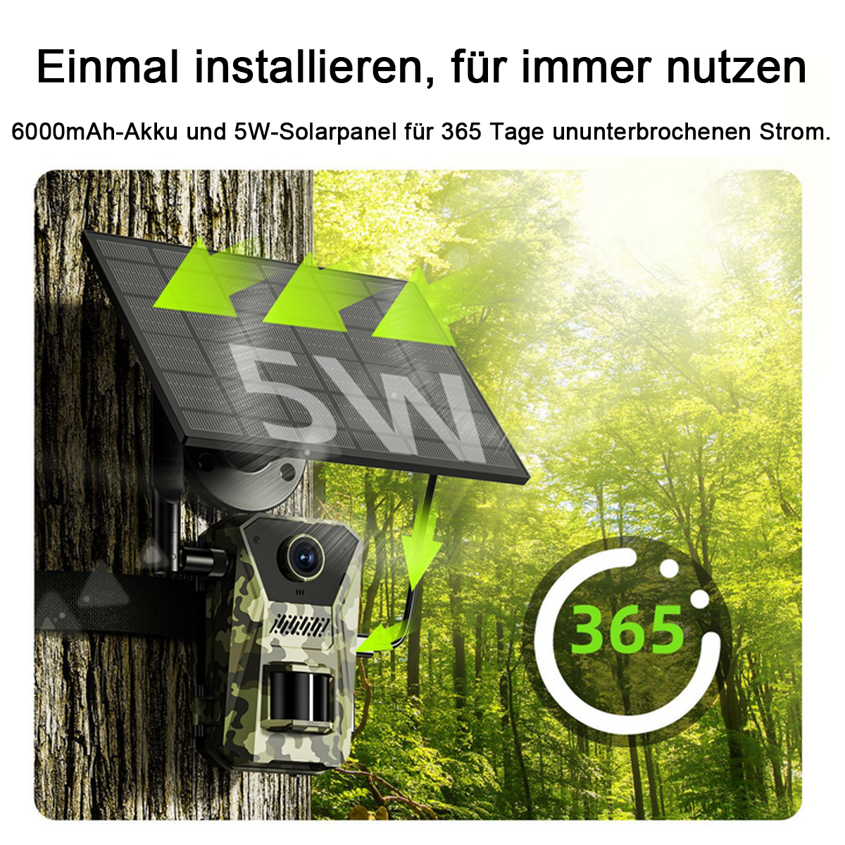 Kamera an einem Baum mit grünem Pfeil, der die Leistung zeigt, ein 365-Tage-Symbol und Text.