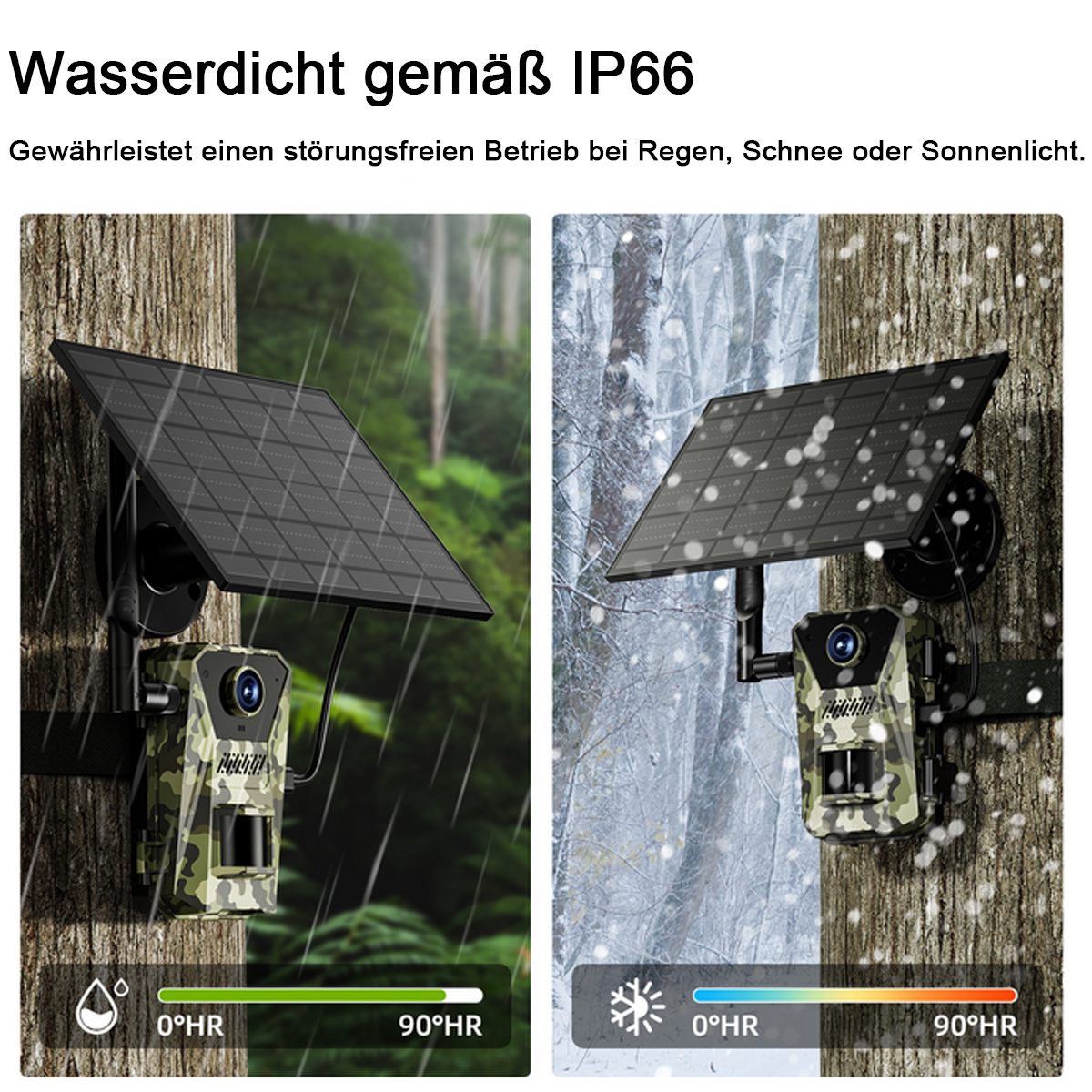 Zwei Bilder einer getarnten Kamera an einem Baum. Eines zeigt Regen, das andere Schnee. Beide haben Solar.