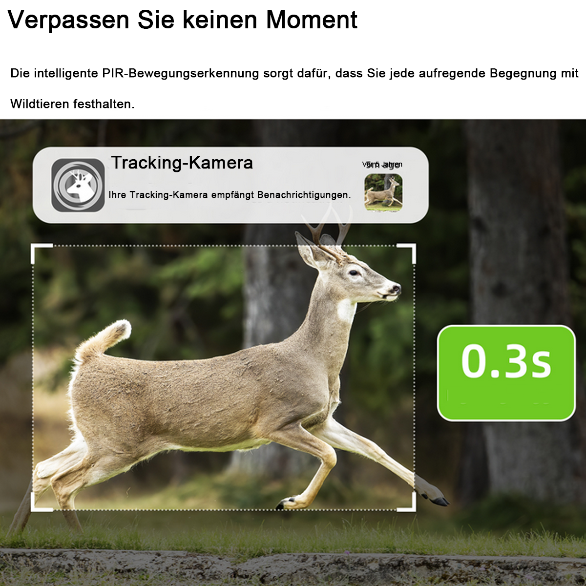 Ein Hirsch, der durch einen Wald rennt, mit einem Kamerasymbol und einem Text, der eine Reaktionszeit von 0,3 s angibt.
