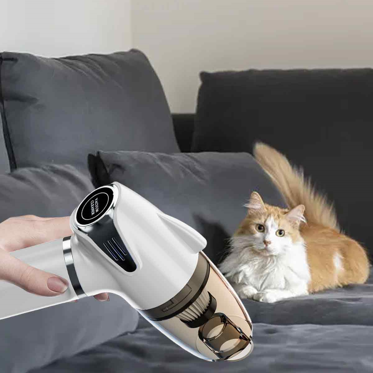 Ein Staubsauger in Gebrauch auf einem grauen Sofa, eine Katze sitzt auf dem Sofa.