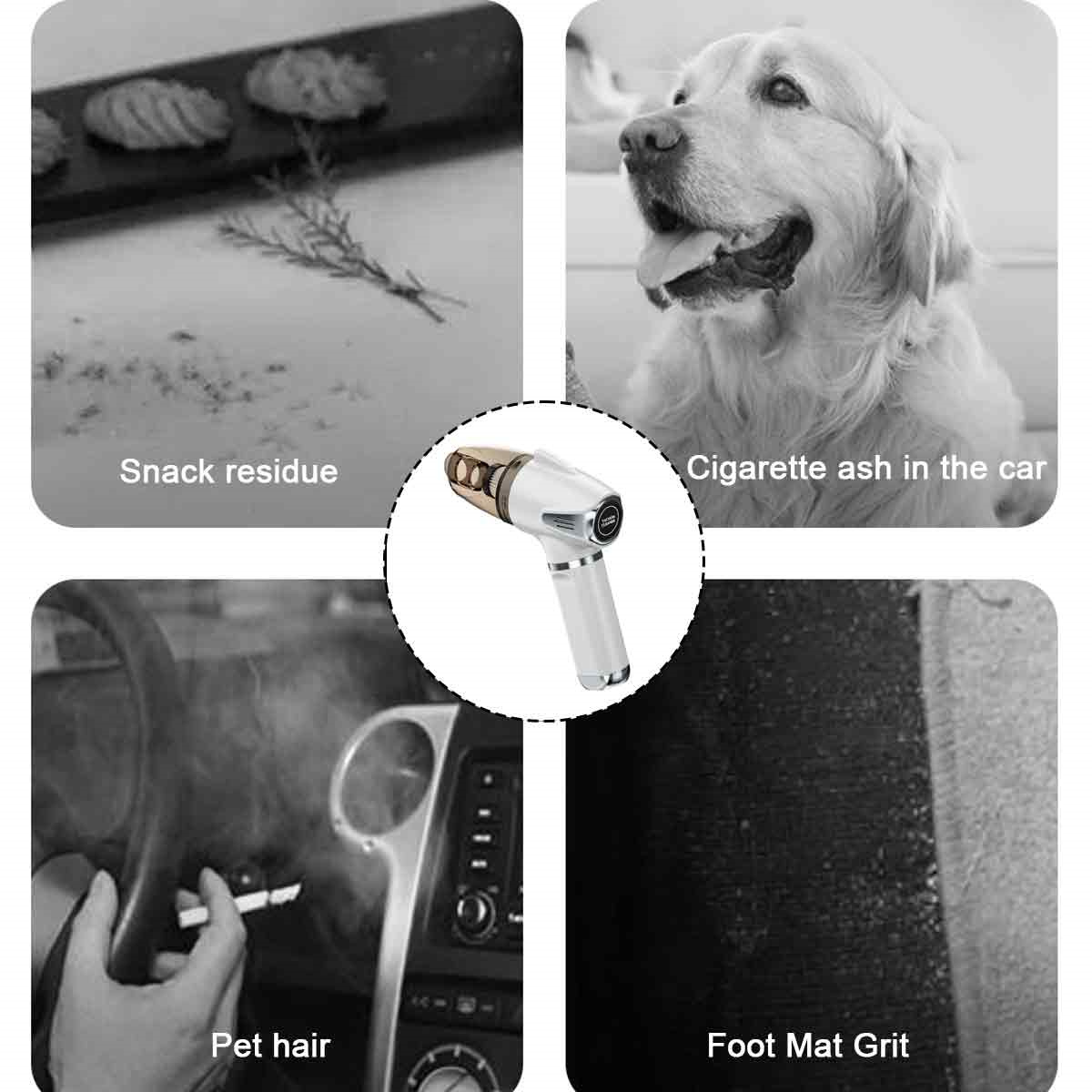 Collage mit Snackresten, einem Hund, Zigarettenasche, Tierhaaren und einem Autoreinigungsgerät.