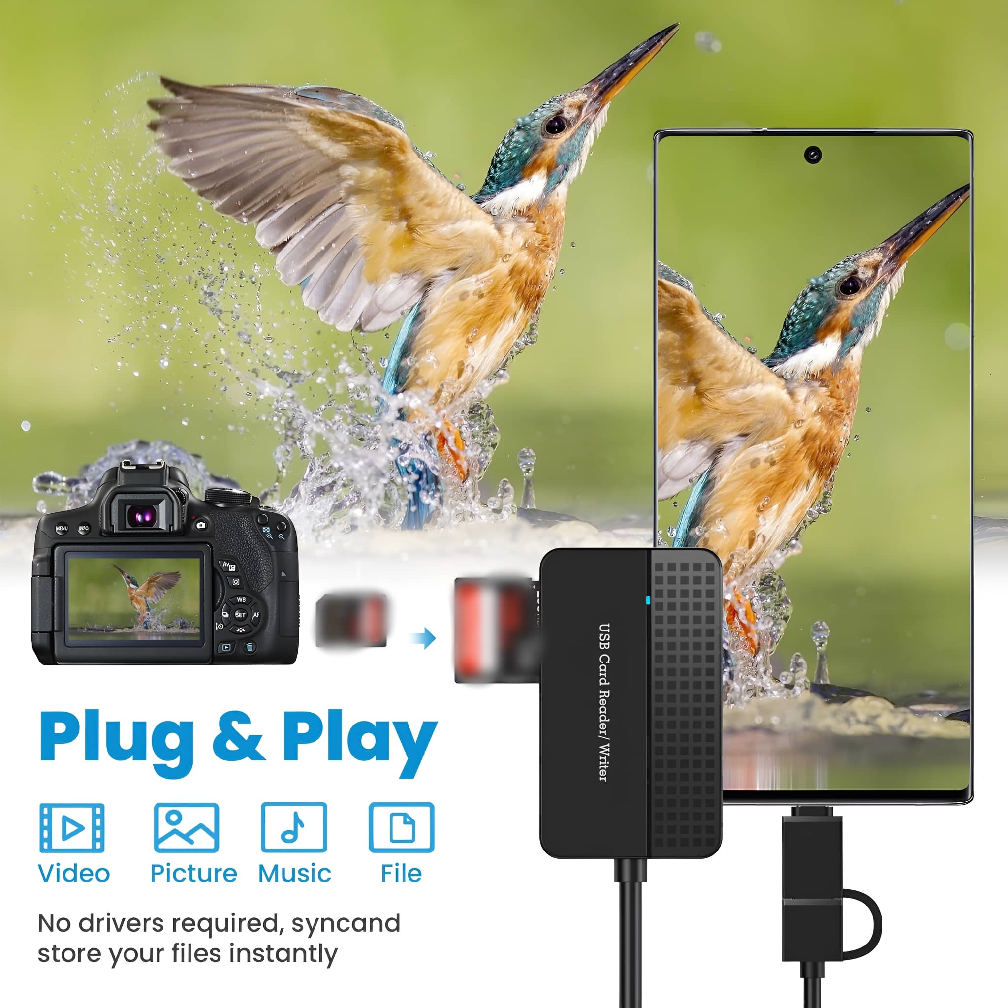 Eisvogel im Flug, Wasserspritzer, neben einem Telefonbildschirm mit demselben Bild und einem Kartenleser.