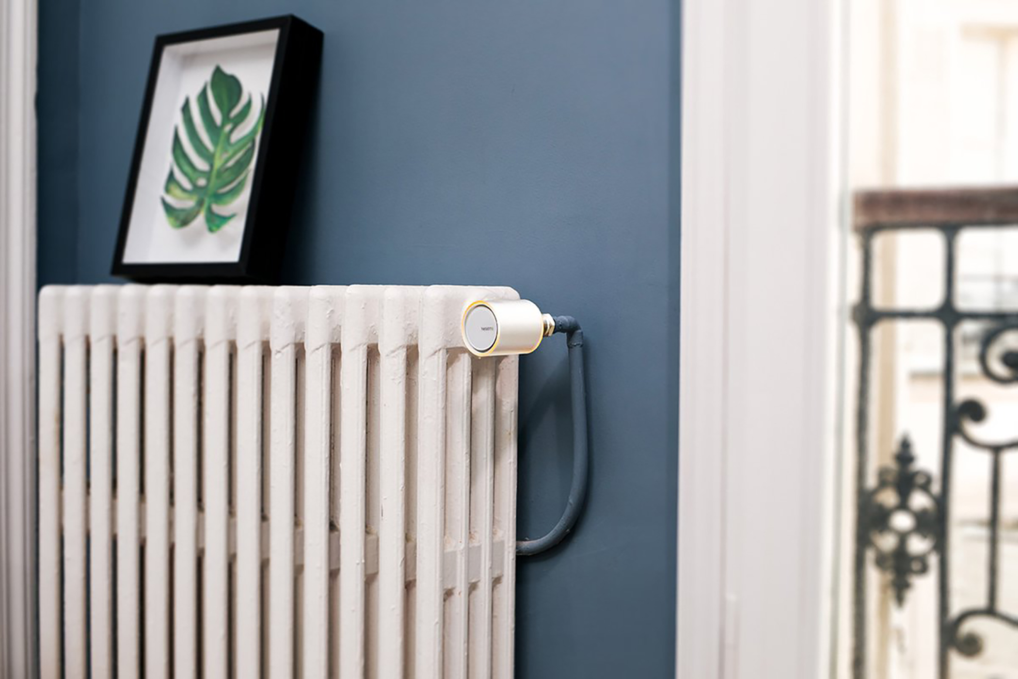 A white radiator with a smart thermostat, a picture of a leaf, and a blue wall.