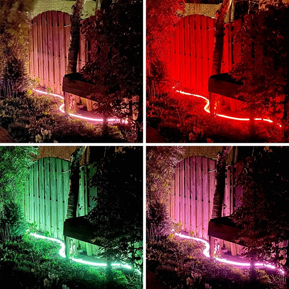 Quatre images d'un jardin de nuit avec une lumière rose brillante. La lumière entoure des arbres et une clôture en bois.