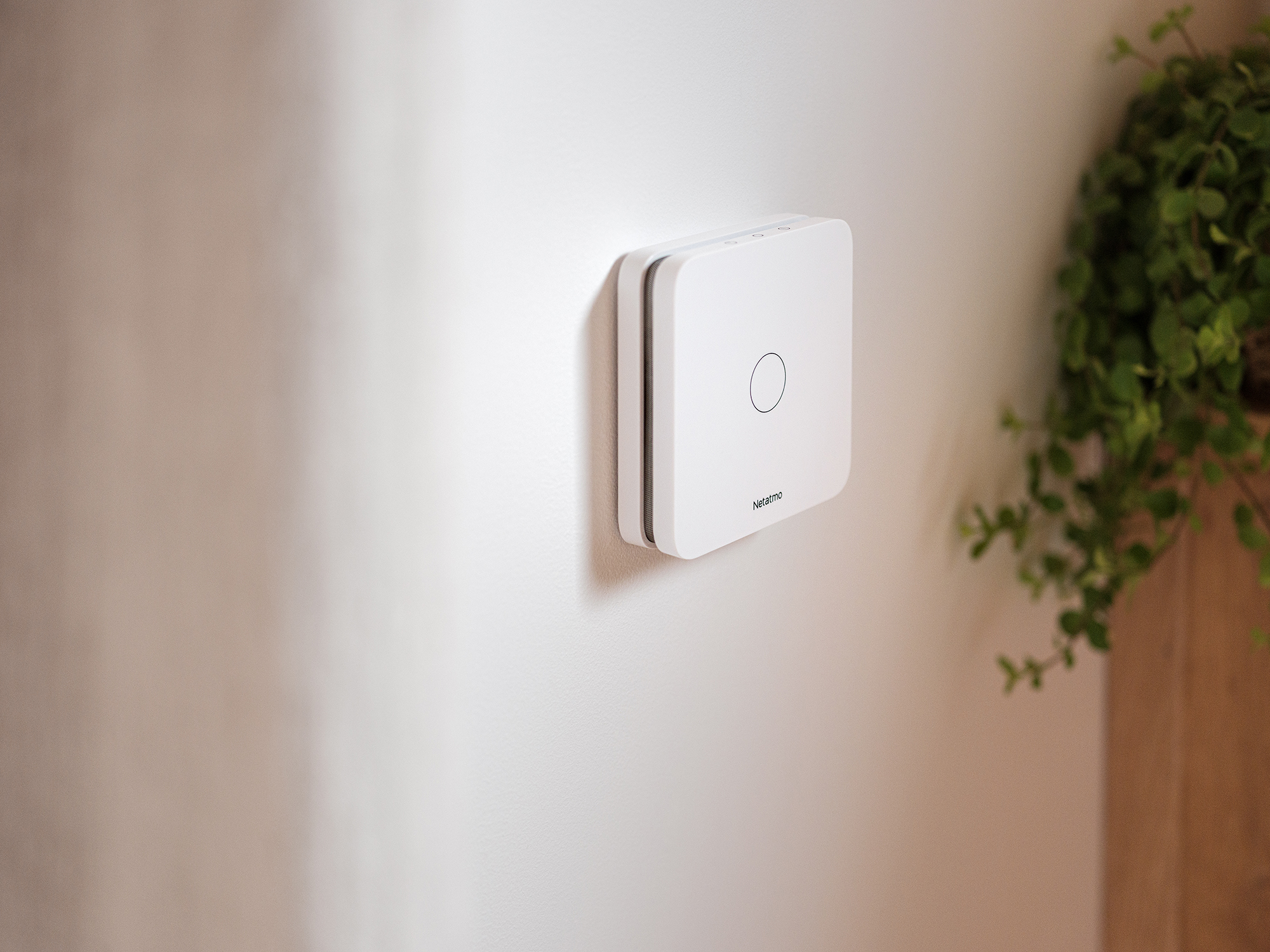 Weißes quadratisches Smart-Home-Gerät an einer weißen Wand mit grüner Pflanze.