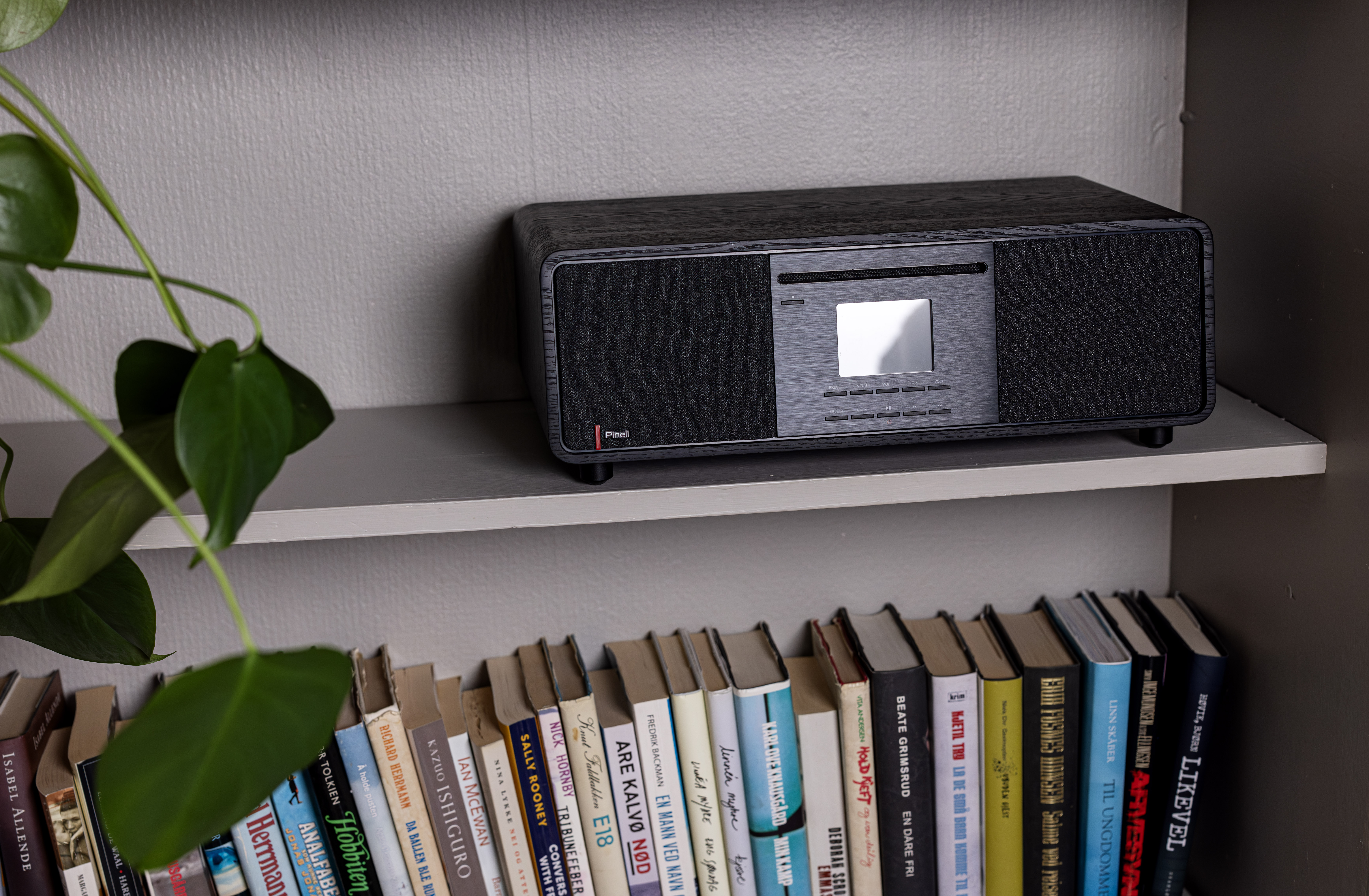 Wooden stereo system on shelf. Books on shelf below. Green plant on shelf left.