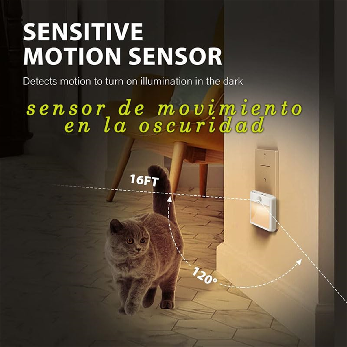 Eine Katze geht auf einen Bewegungssensor an einer Wand zu. Der Sensor ist weiß mit Text.