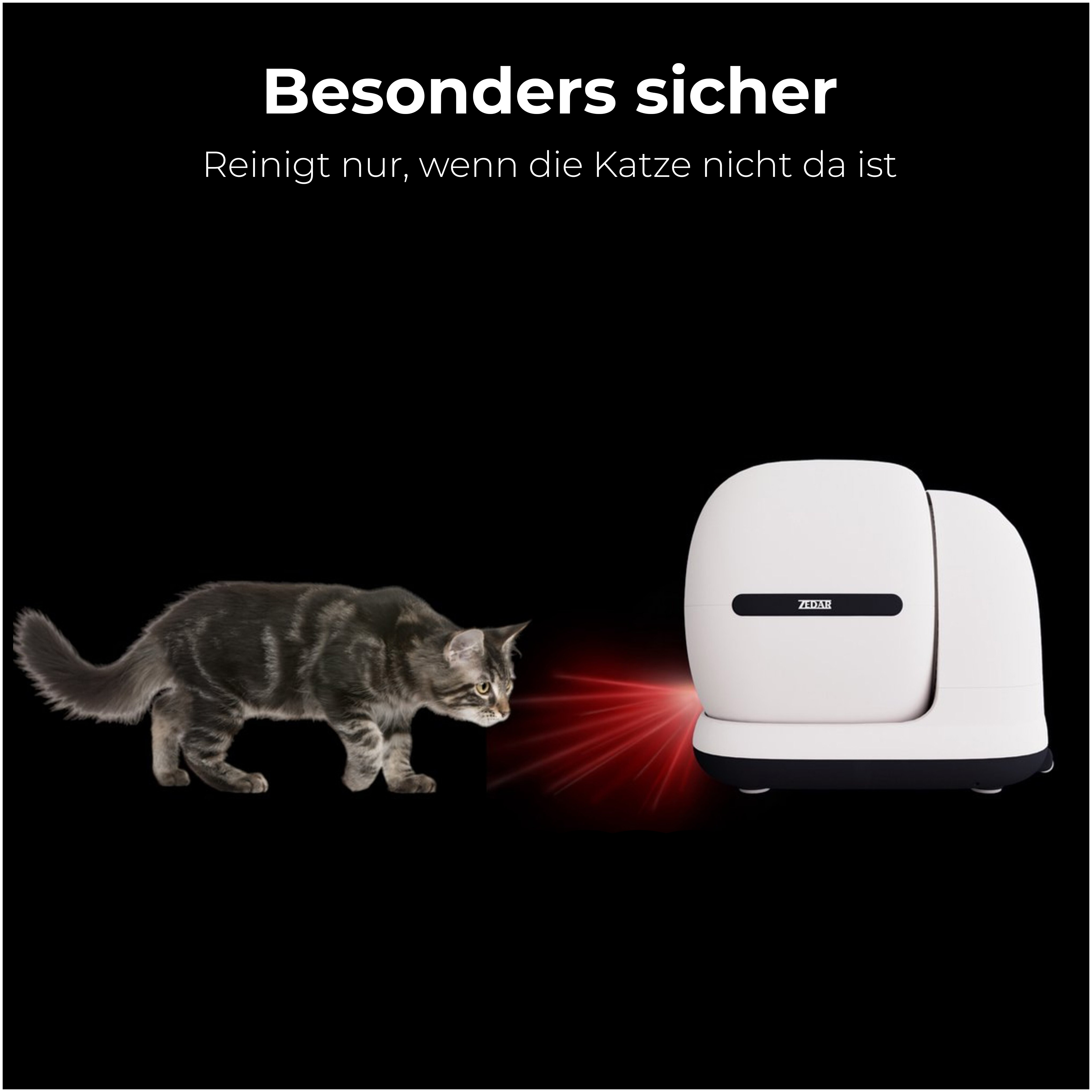 Eine Katze schaut auf einen Laserpointerstrahl von einem weißen Gerät. Der Hintergrund ist schwarz, mit weißem Text darüber.