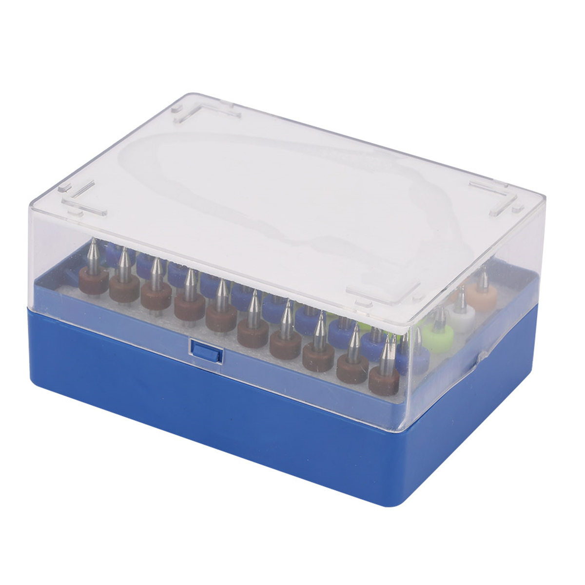 Eine blaue Plastikbox mit einem transparenten Deckel, gefüllt mit kleinen braunen und grünen Bohrerbits.
